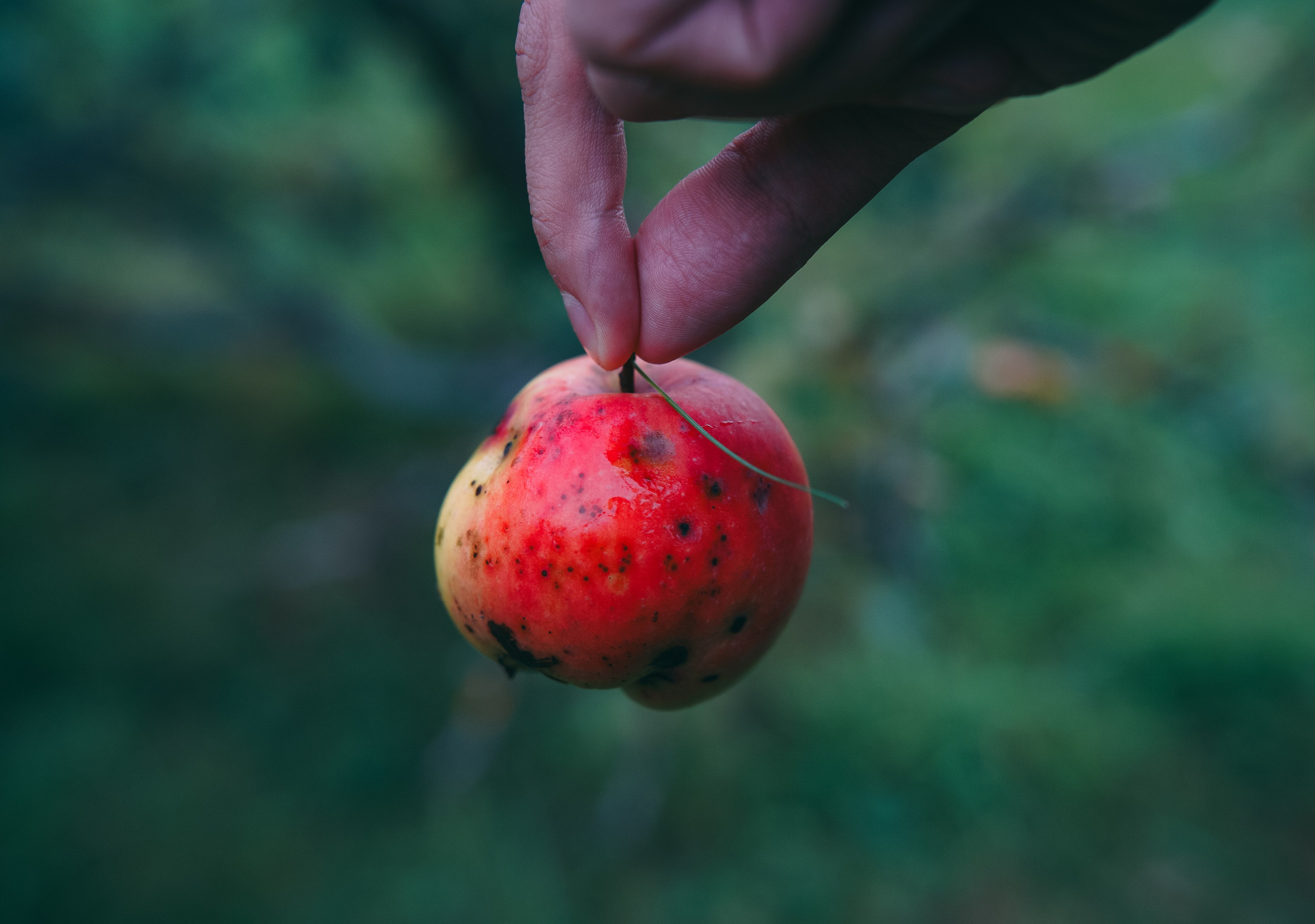 Осень 2025. Фотограф из Москвы — DASHA NOVA | Авторская фотография в разных жанрах