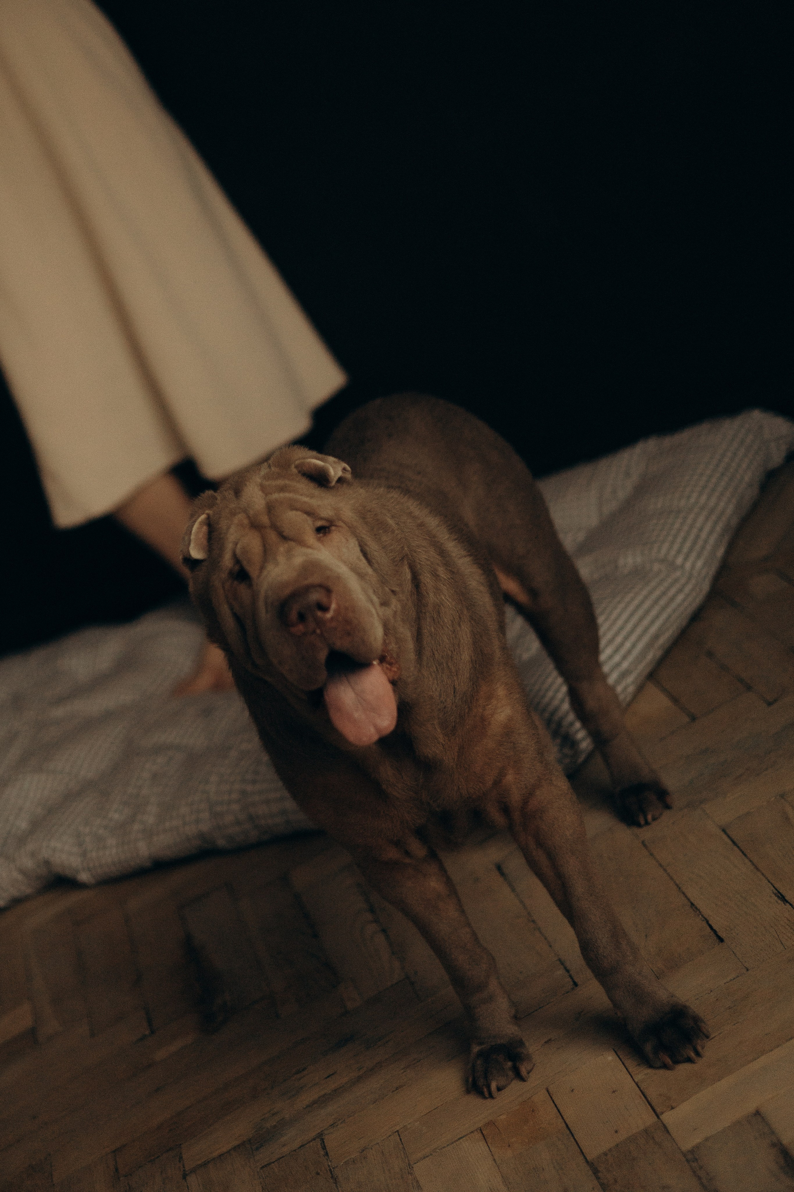 Ульяна & Вагнер. Фотограф — анималист •love-story•|Санкт-Петербург