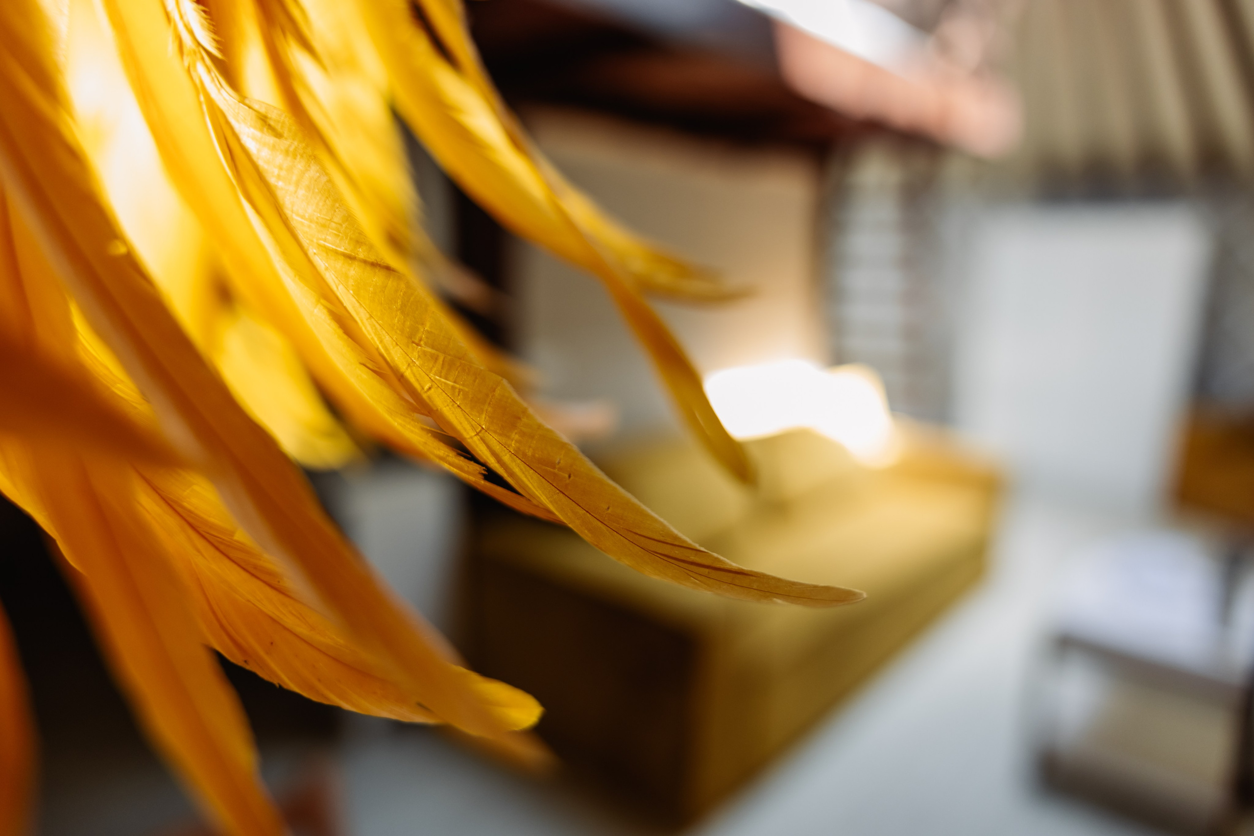 БЕРЕЗКА ВИЛАДЖ | Глэмпинг в Коломне | Юрта «Янтарная». ФОТОГРАФ ИРИНА ШАМАТАВА