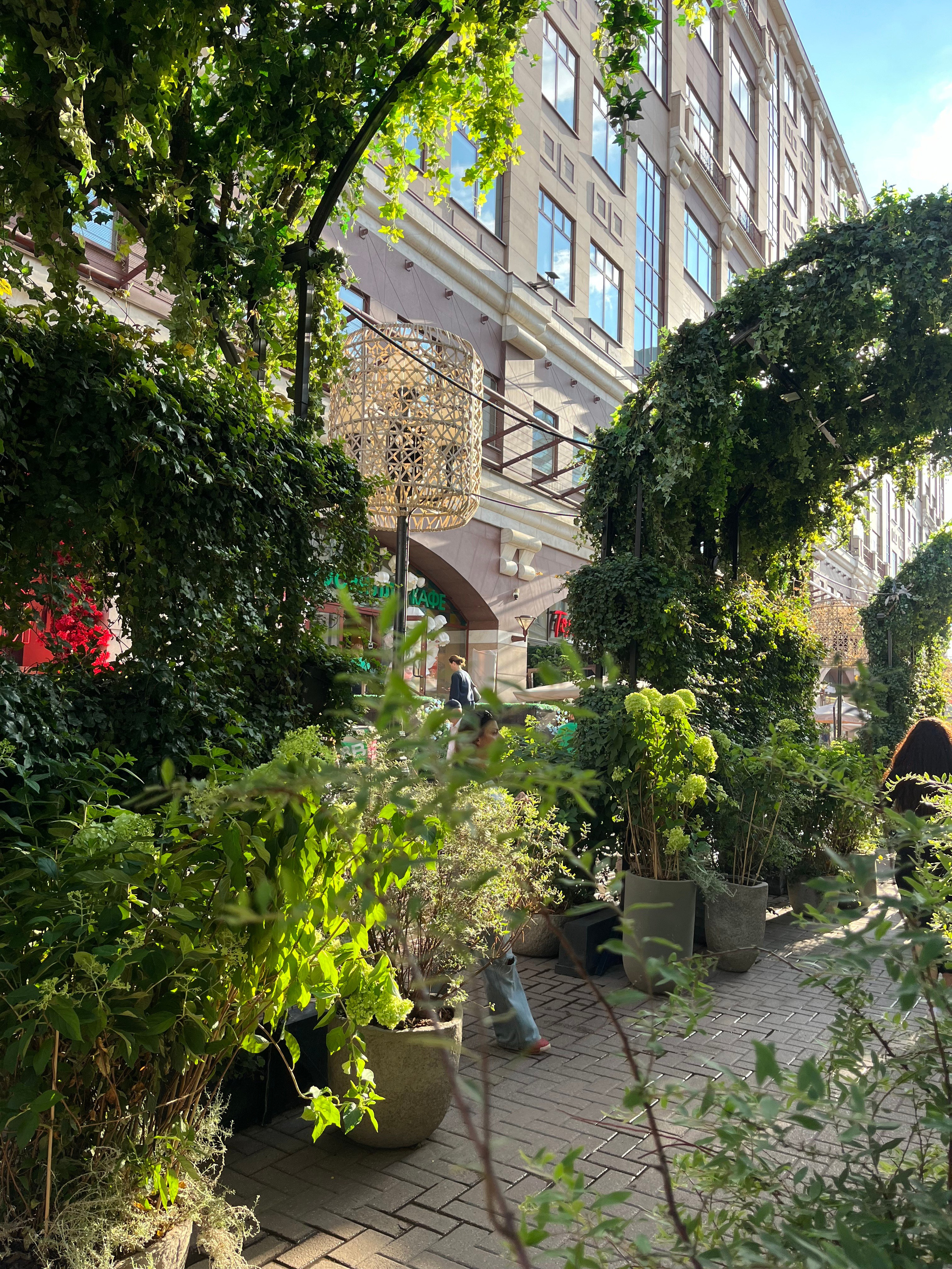 ЛЮБИМЫЕ ЦВЕТЫ