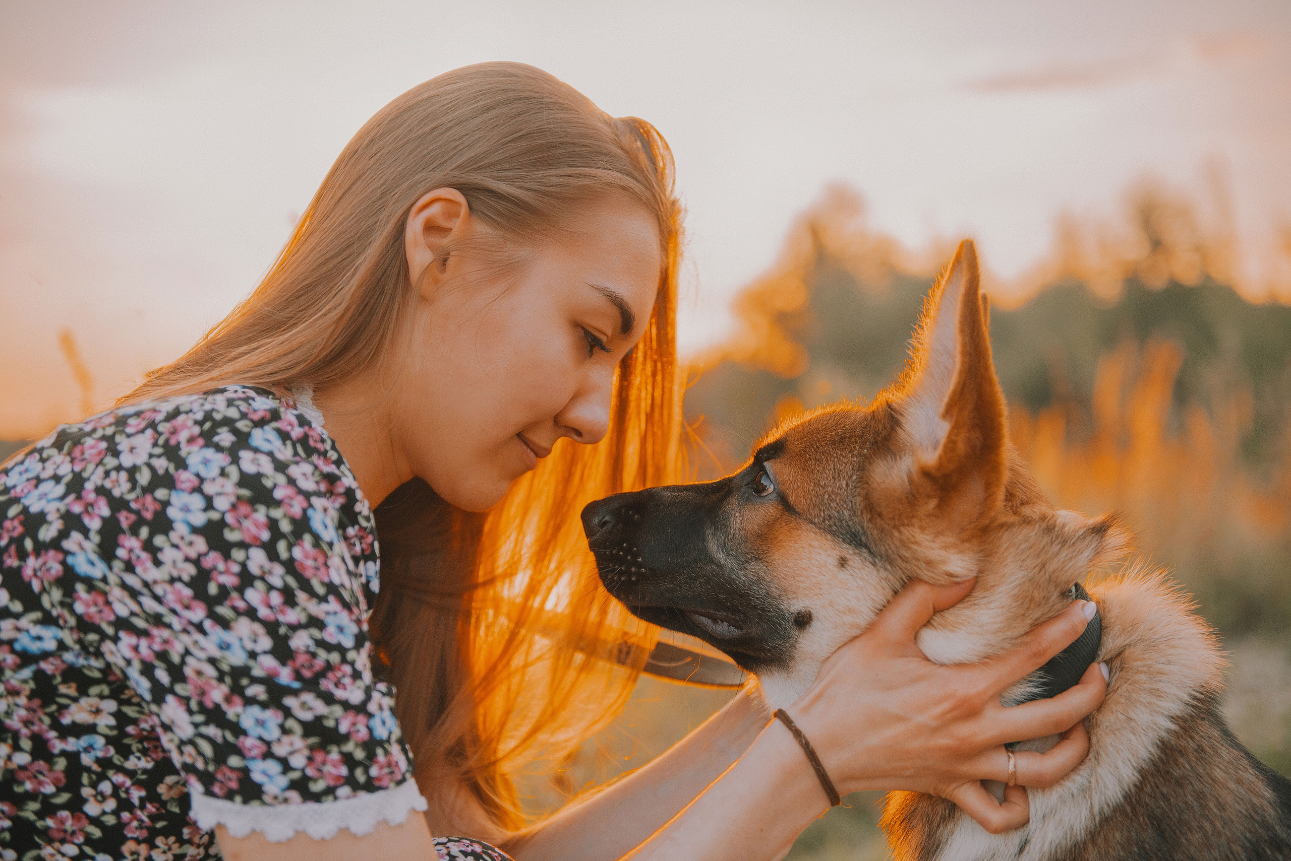 Эмир, Алсу и немецкая овчарка Рэй (Щелково, 2023). Анна Пушина, фотограф, Москва, Королев, Пушкино