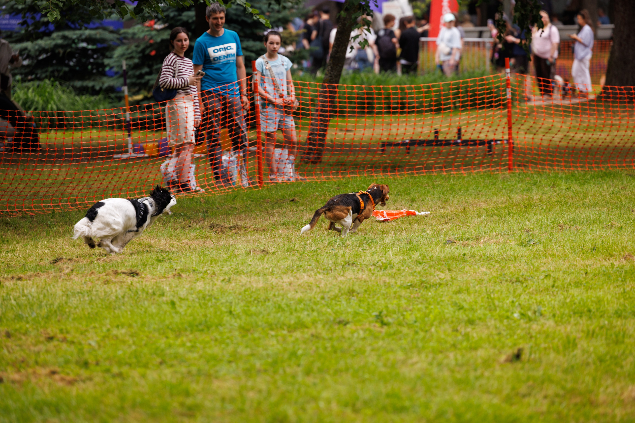 PetShopDays2026. Фотограф Александр Заломаев