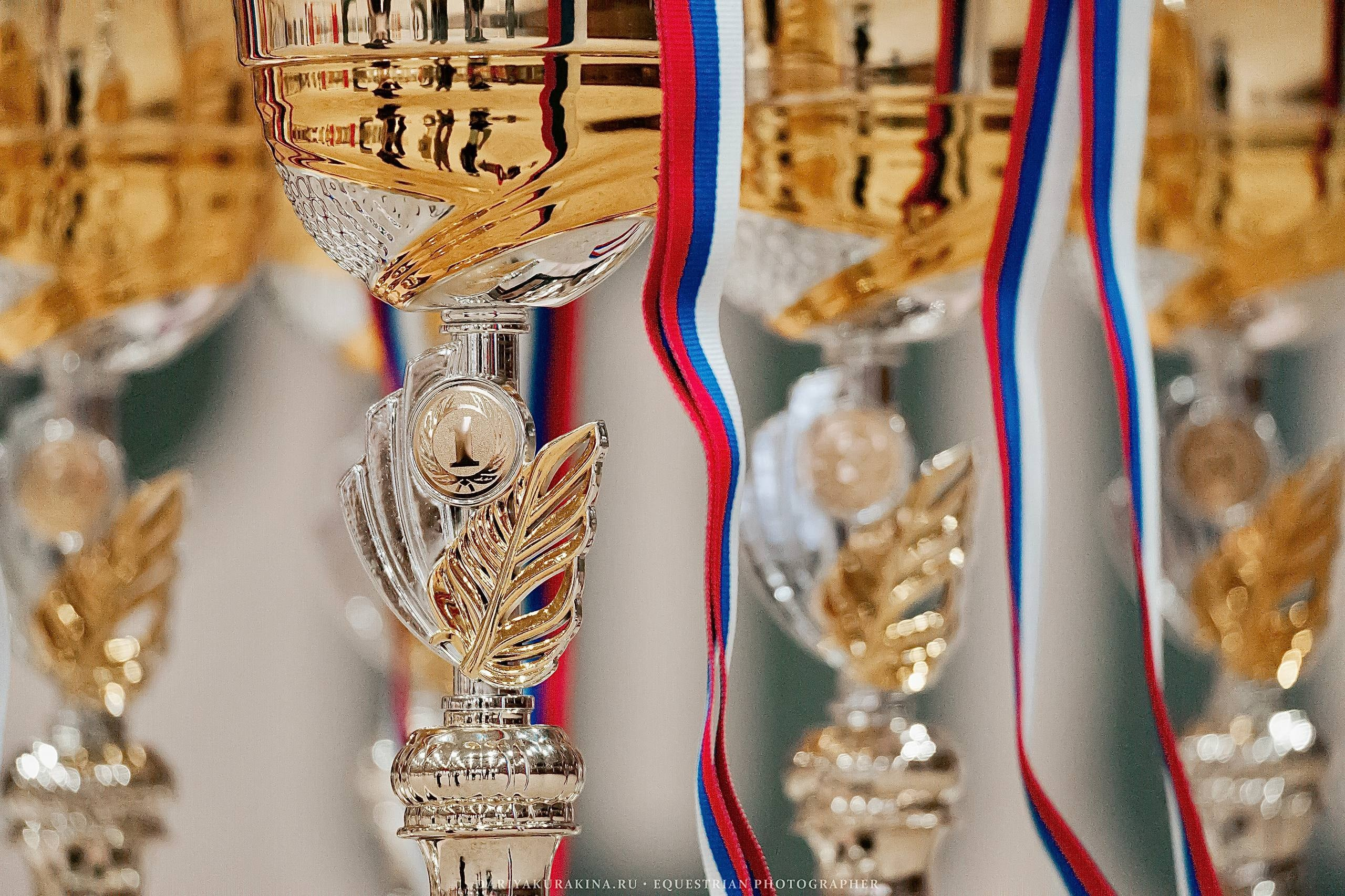 ЧЕМПИОНАТ МОСКОВСКОЙ ОБЛАСТИ ПО КОНКУРУ КСК «ВИВАТ, РОССИЯ!». Куракина Дарья • Конный фотограф