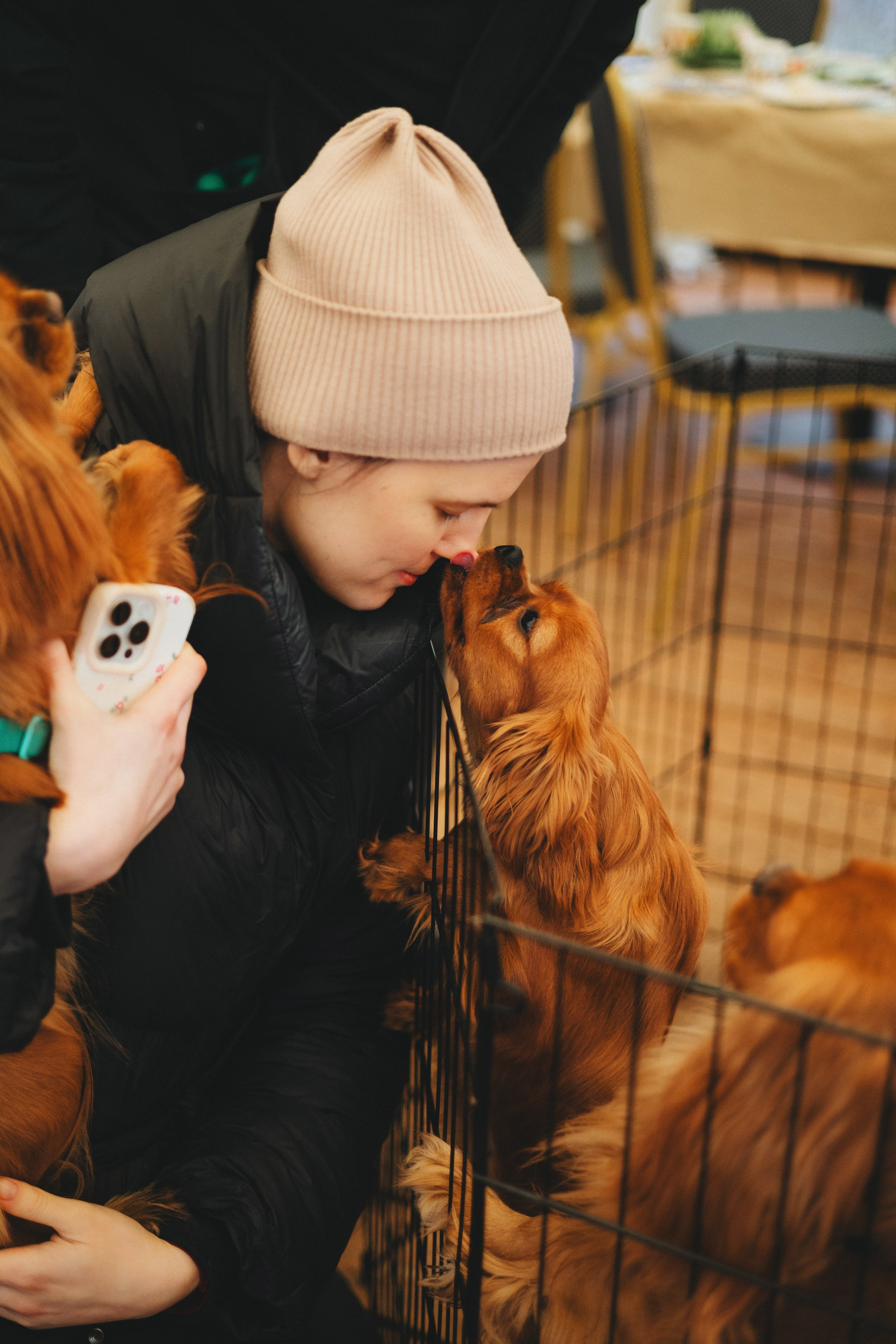 Встреча ККЧС. Фотограф анималист Осипчикова Мария