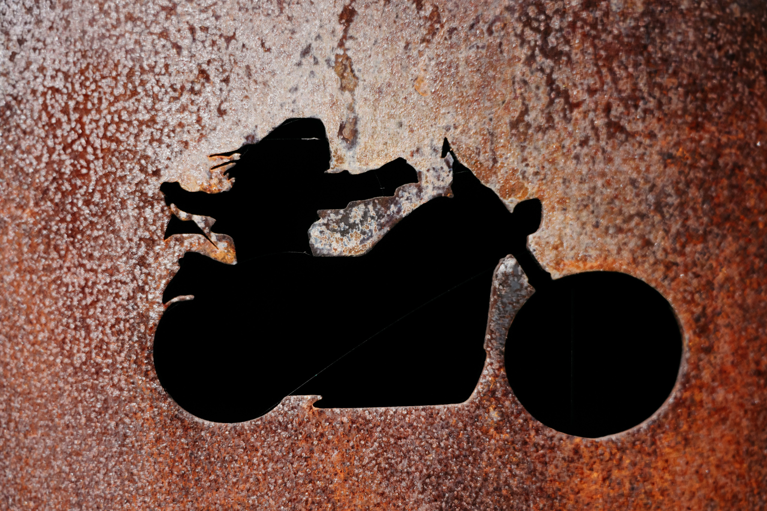 Ночные волки. Фотограф в Москве Дмитрий Рогов