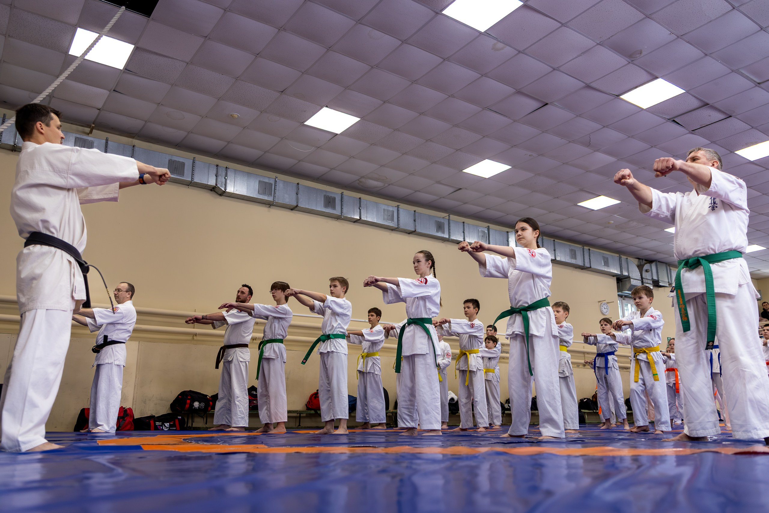 Открытый урок по карате февраль 2026. Главная