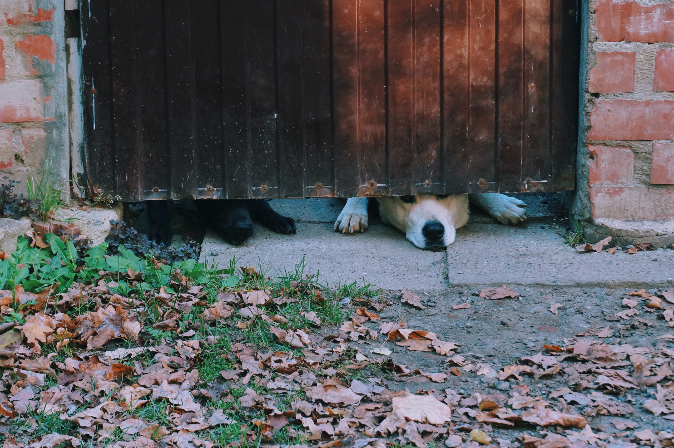 Визуальный дневник. Портретный фотограф в Москве Гахраманова Екатерина