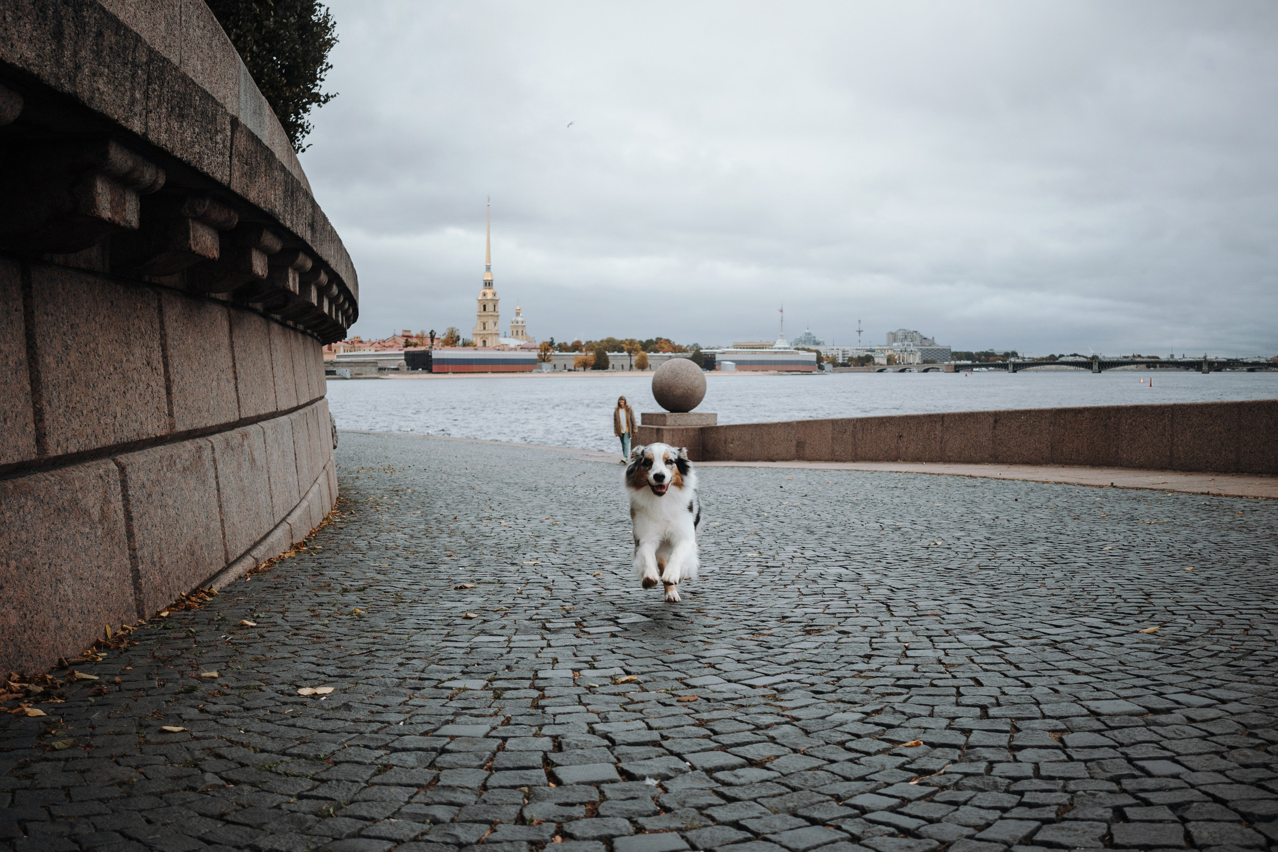 Ирина и Кайса. Фотограф — Анималист | Санкт-Петербург