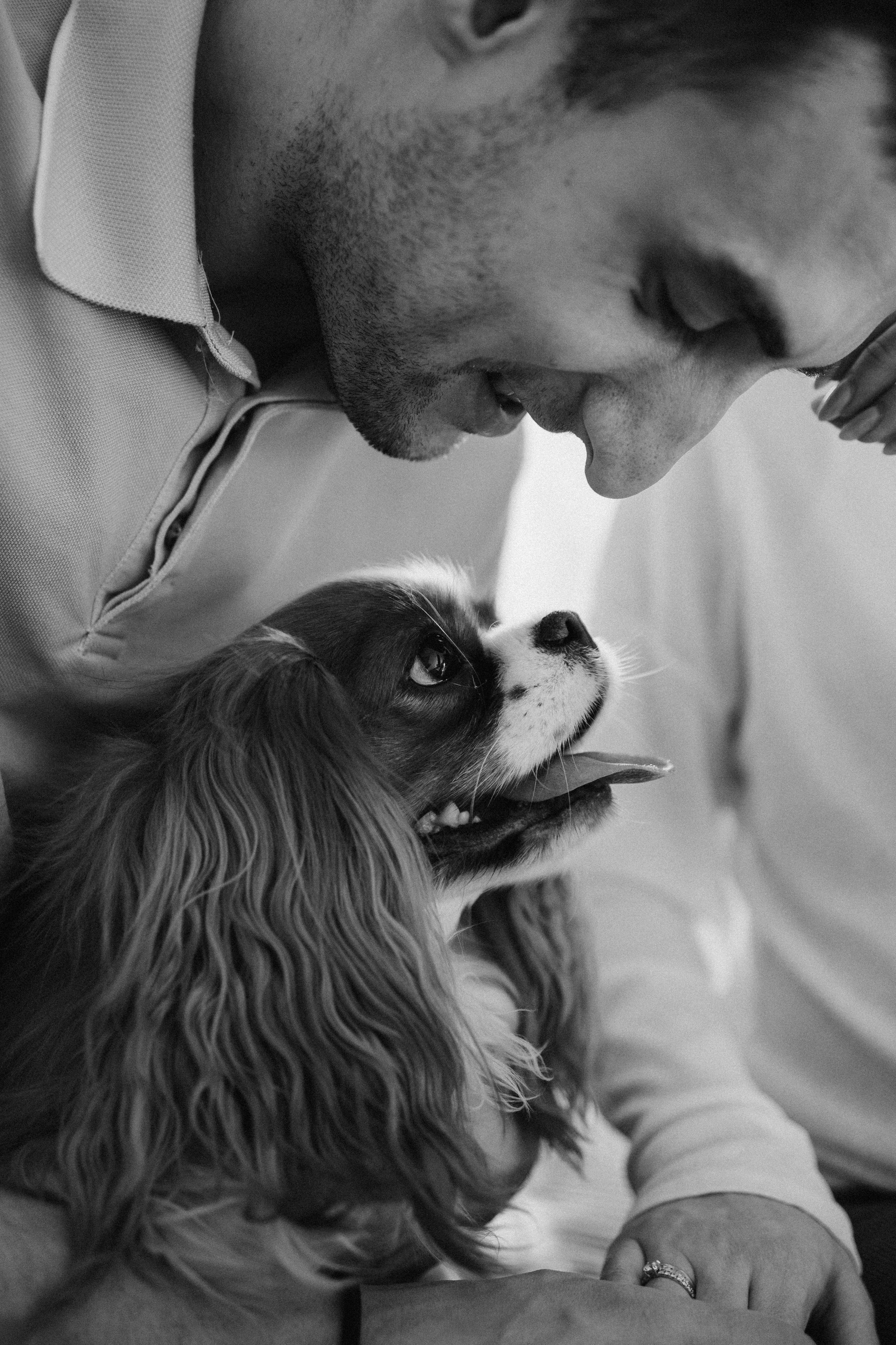 Шерри и ее семья. Фотограф — Анималист | Санкт-Петербург