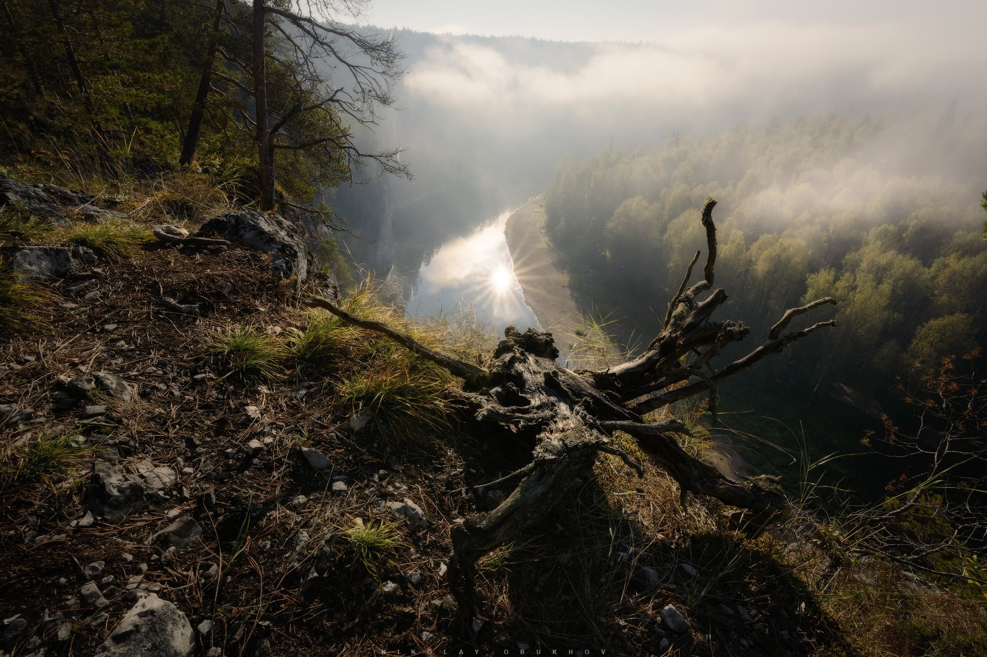 Коряга в утреннем тумане на Чусовой