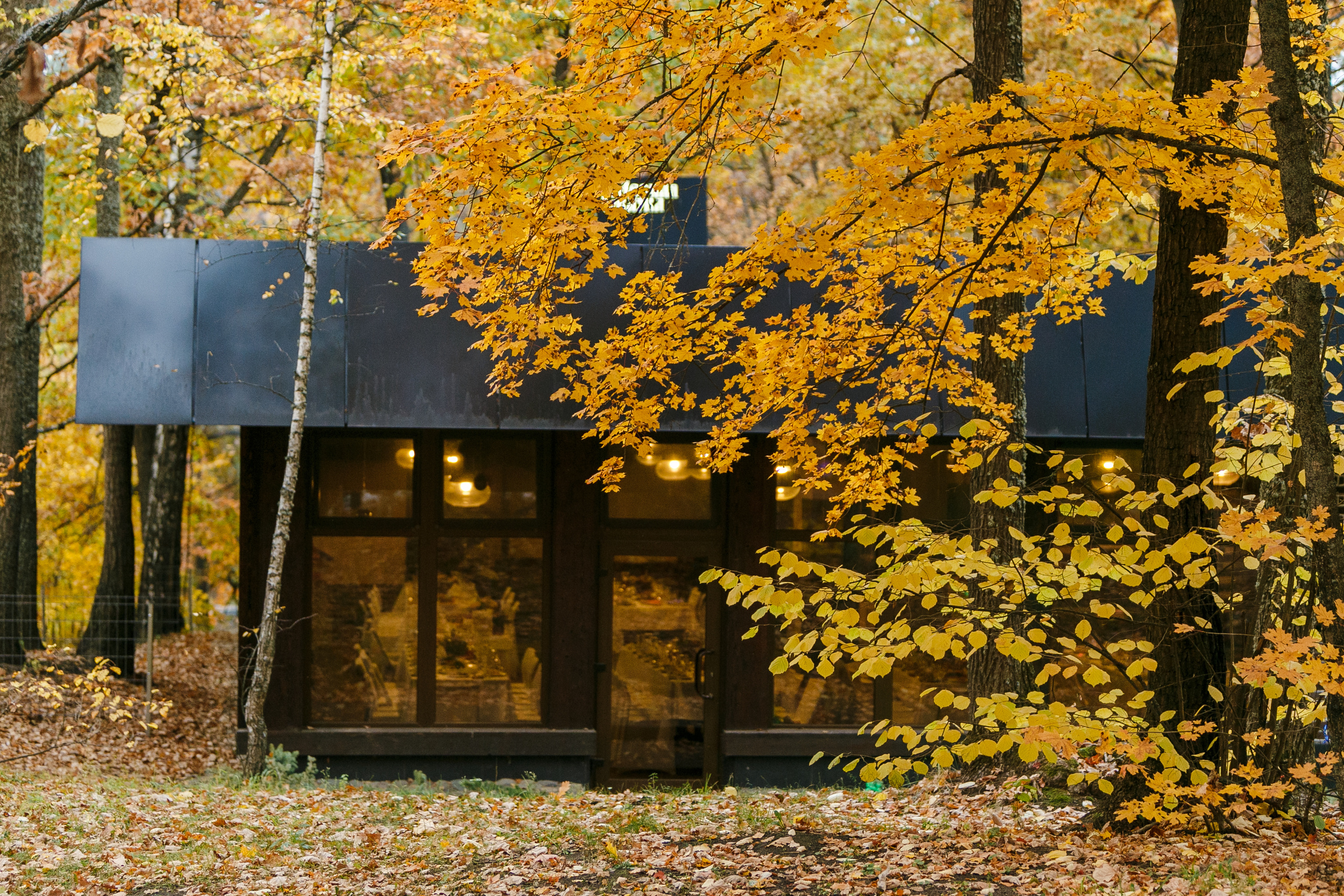 Егор и Алёна. Фотограф Макс Носков