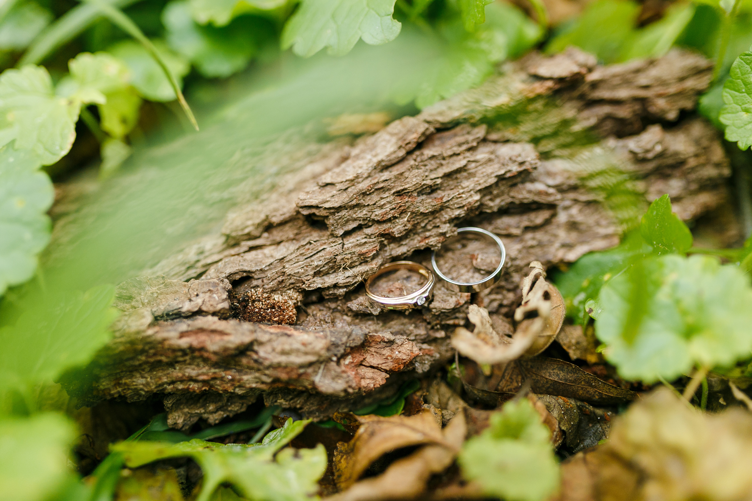 Егор и Алёна. Фотограф Макс Носков