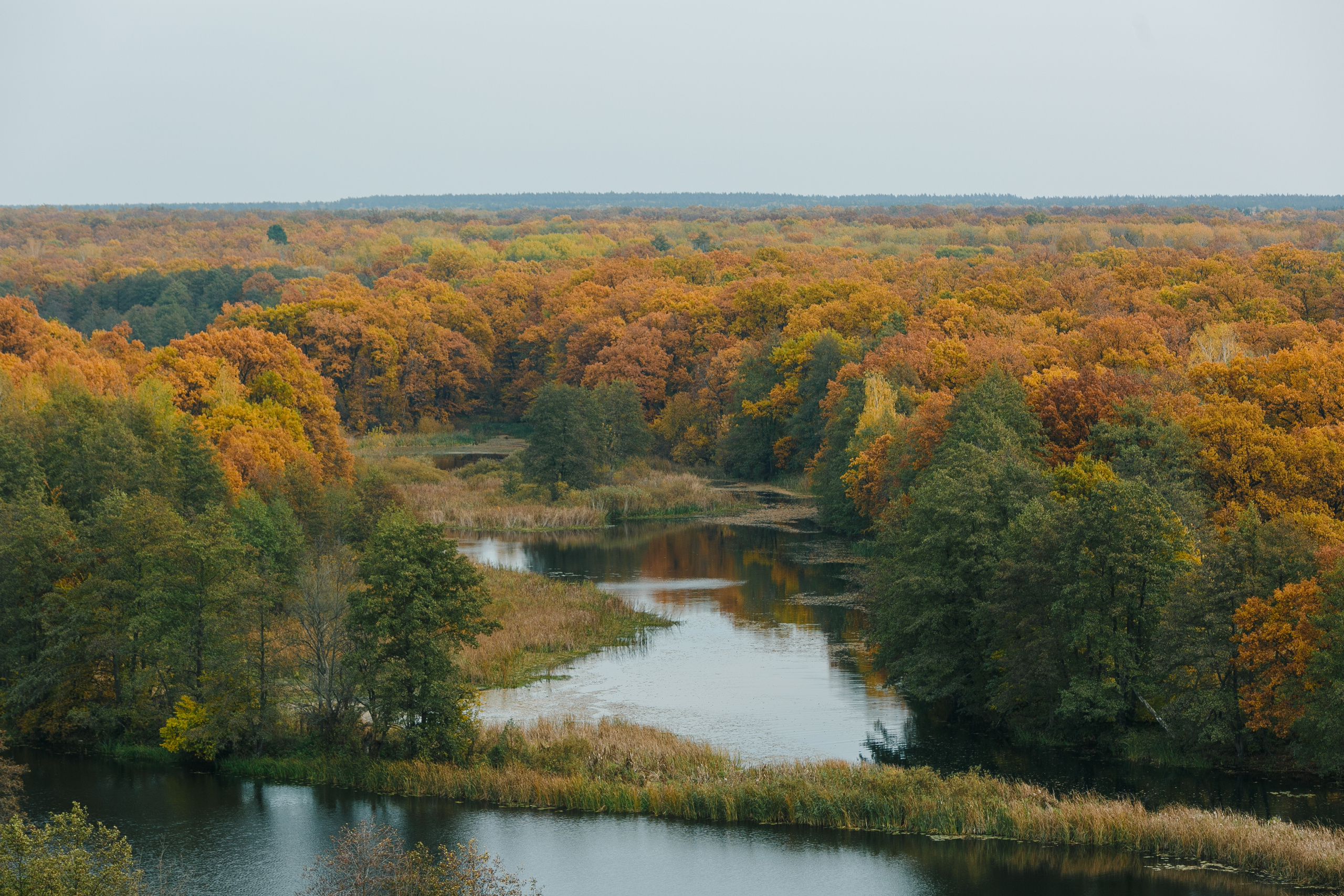 Егор и Алёна. Фотограф Макс Носков