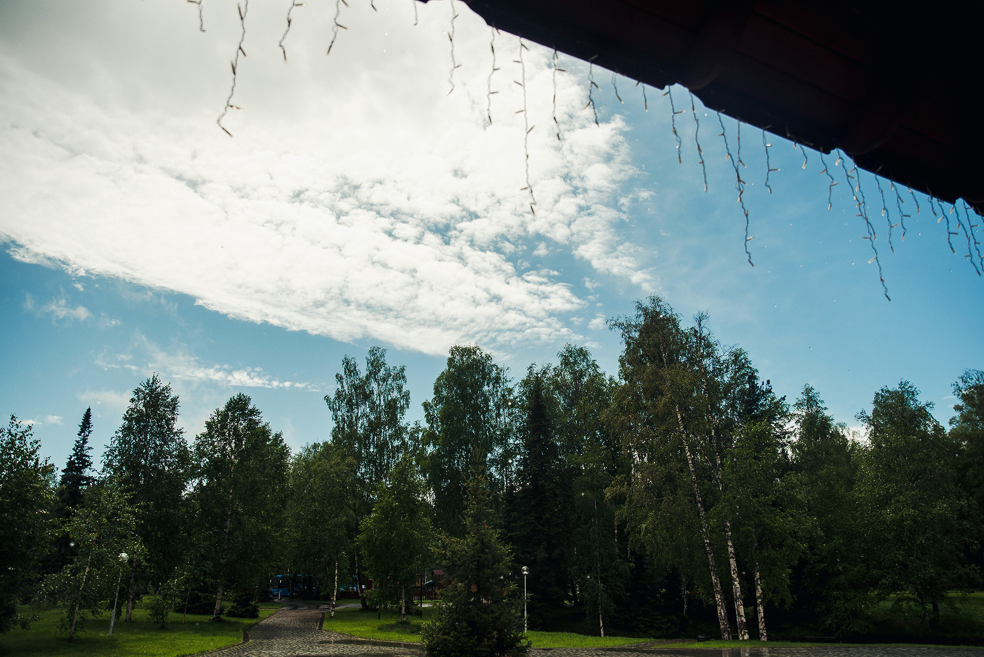 2021.06.05 Роман и Мария. Свадебные фотографы Nekipelov_photo
