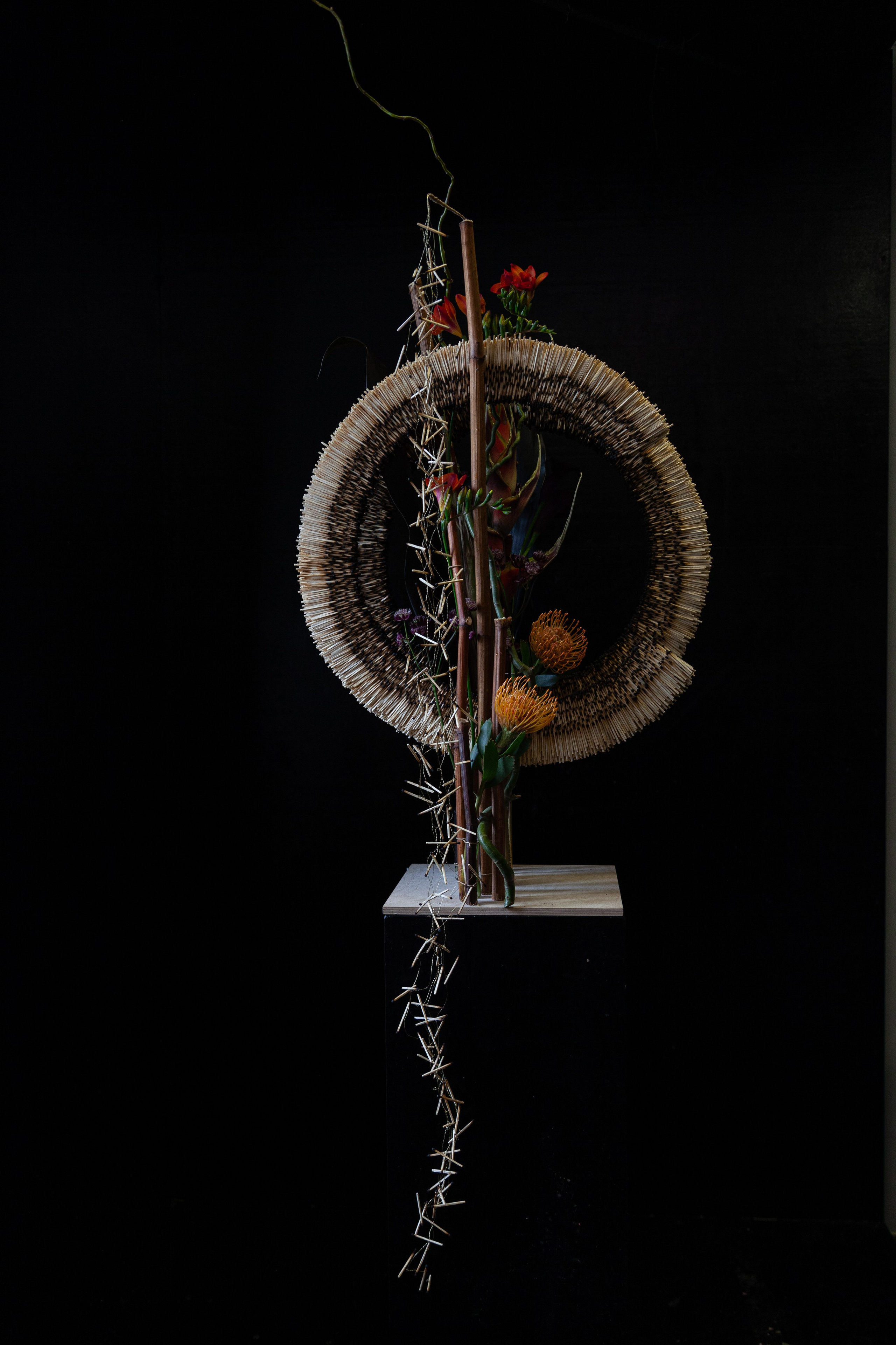 Floral Art. Maria Poleshchuk, commercial photographer in Sydney