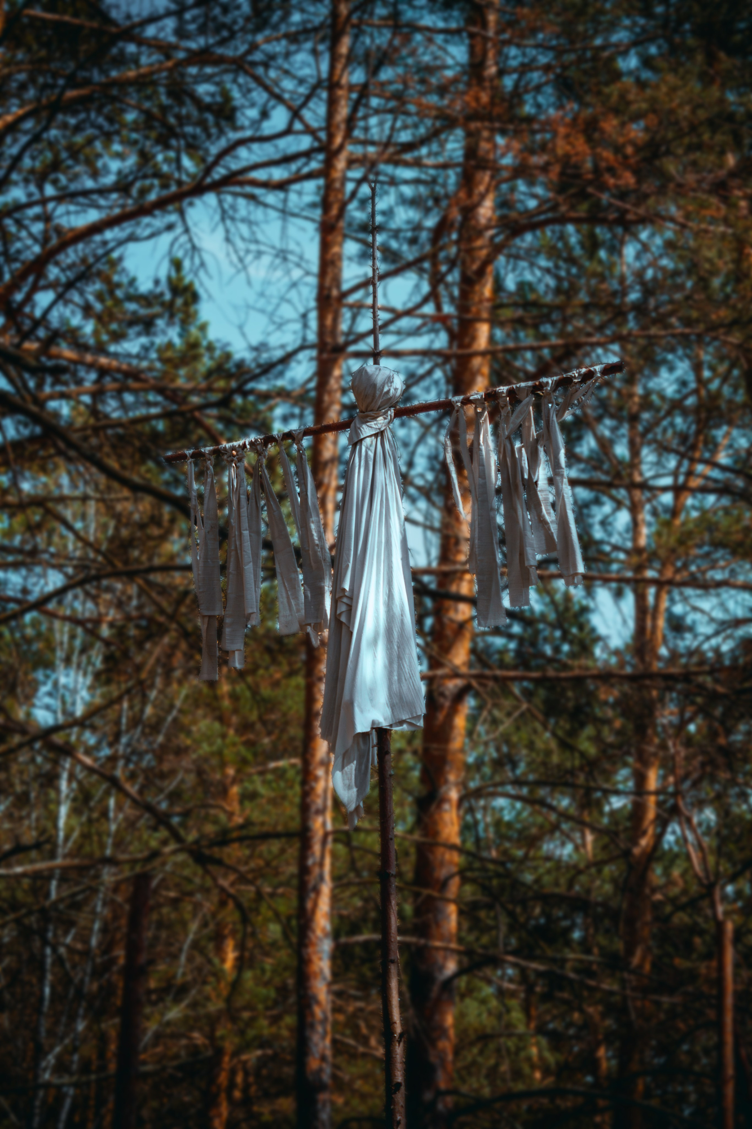 Томская писаница. Фотограф в Новокузнецке