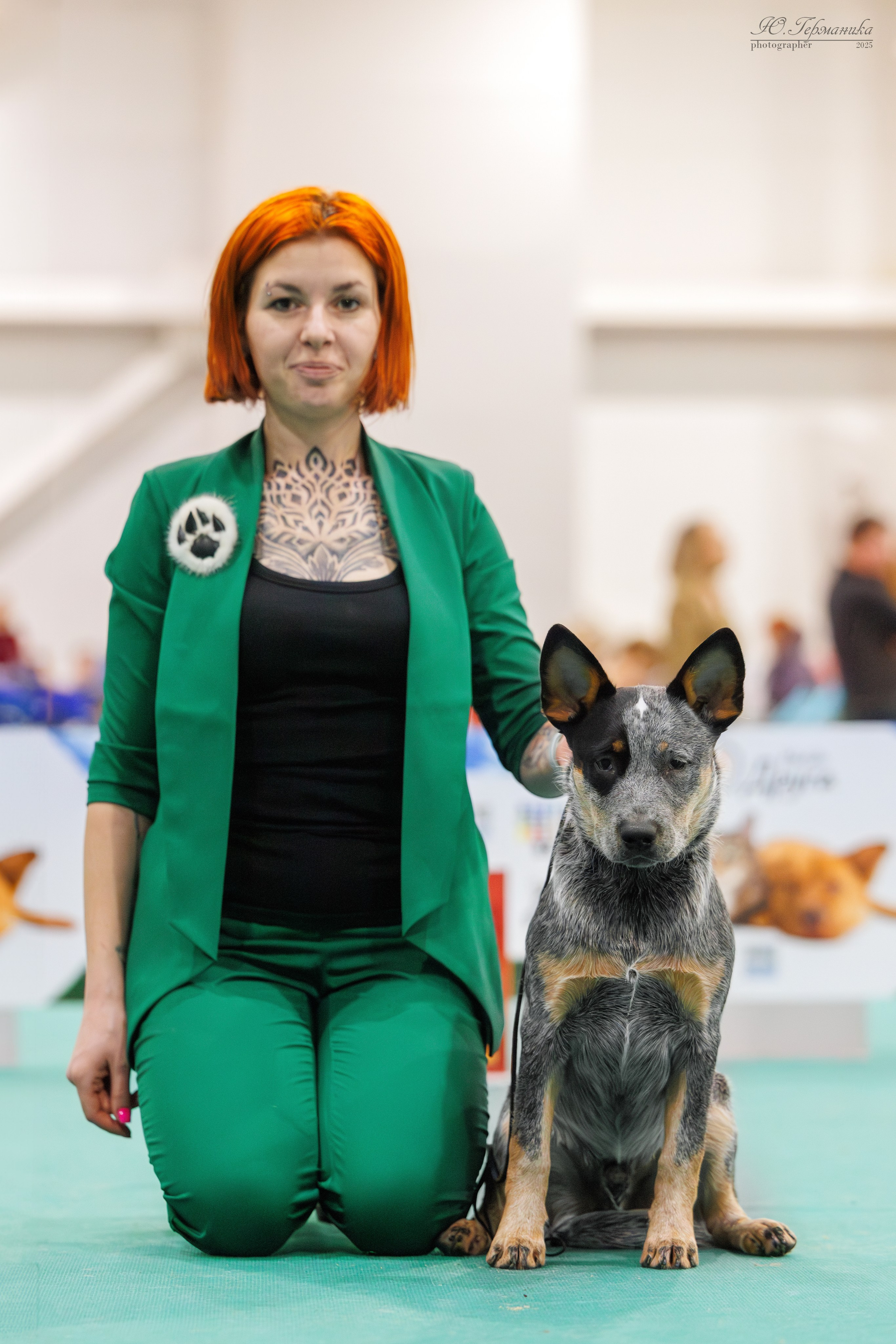 Гран-При 8.02.2025 и Крокус 09.02.2025. Фотограф-анималист Юлия Германика