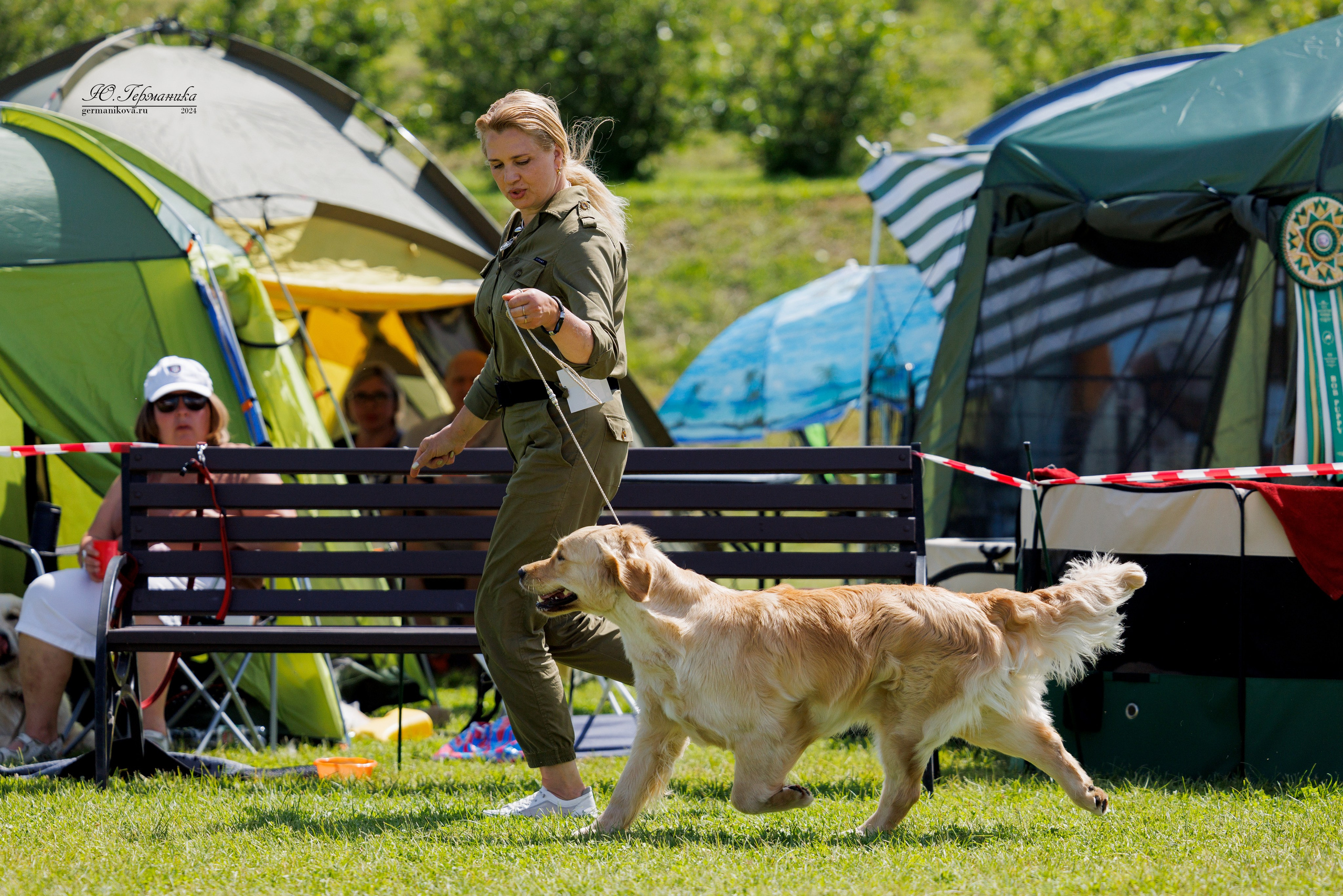 Голдены 15-16.06.2024. Фотограф-анималист Юлия Германика