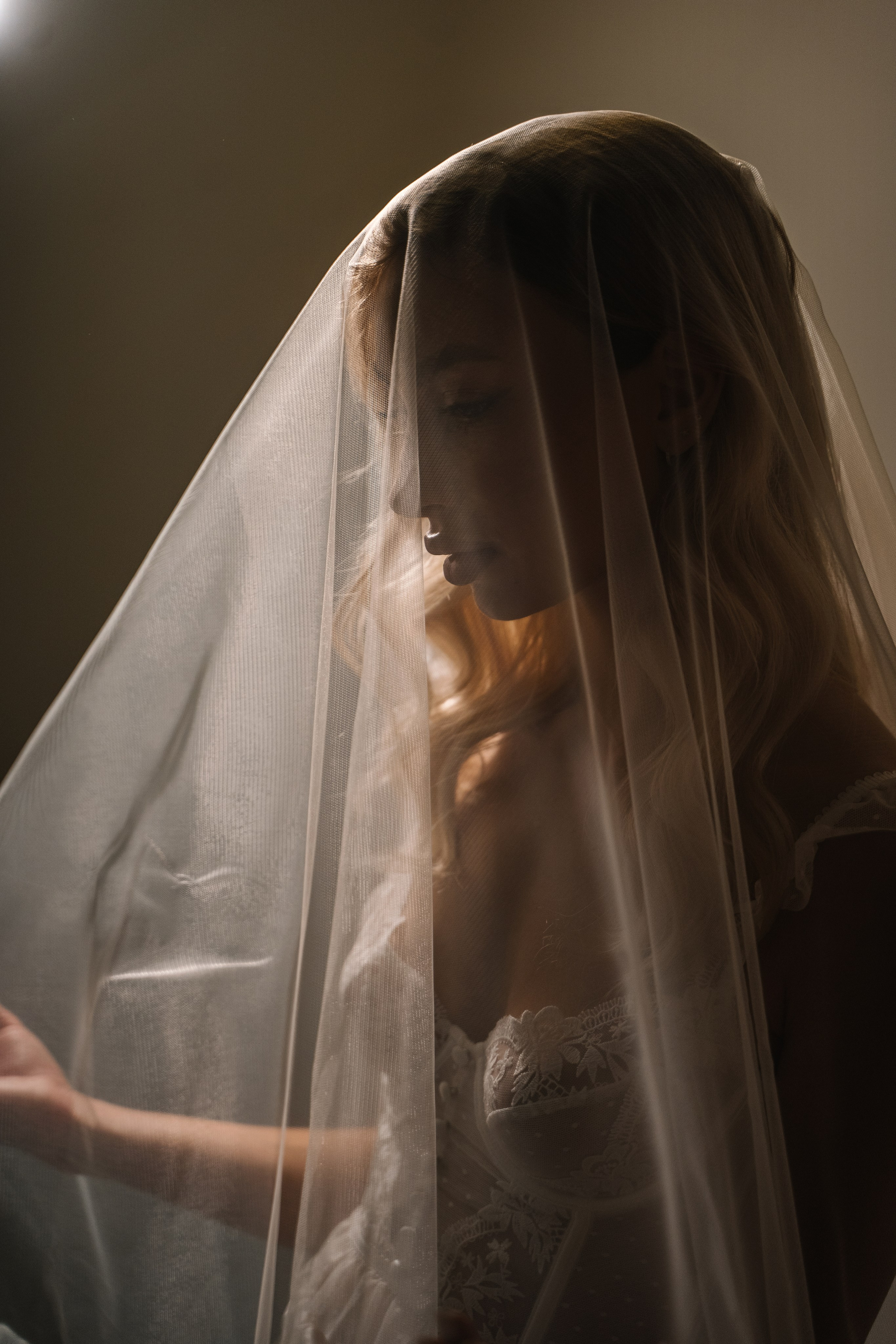 Алина и Алексей. Дмитрий Зайцев свадебный фотограф Тамбов