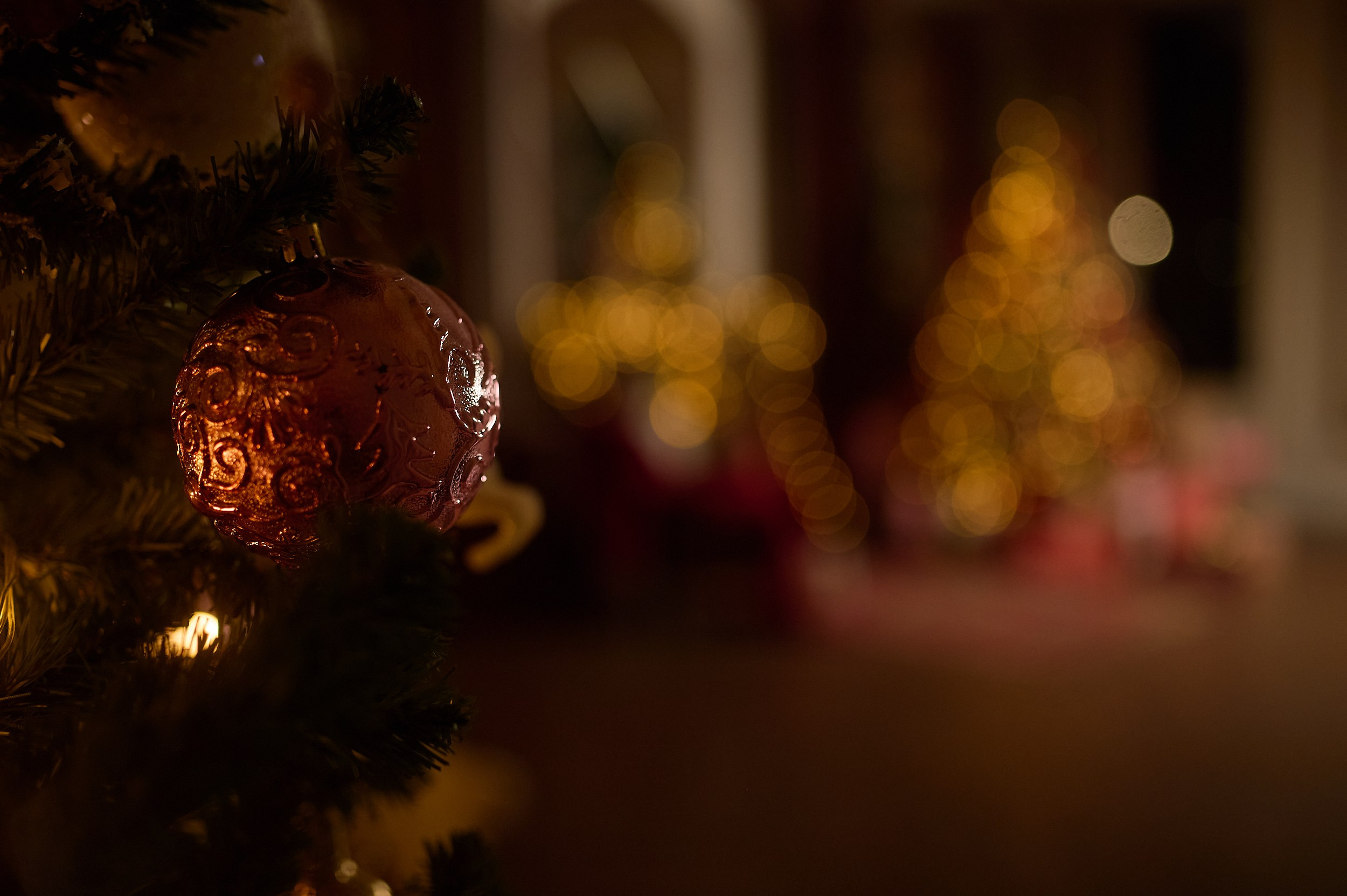 Фотостудия «Леона» зал Библиотека. Свадебный фотограф в Ростове Александра Груздева