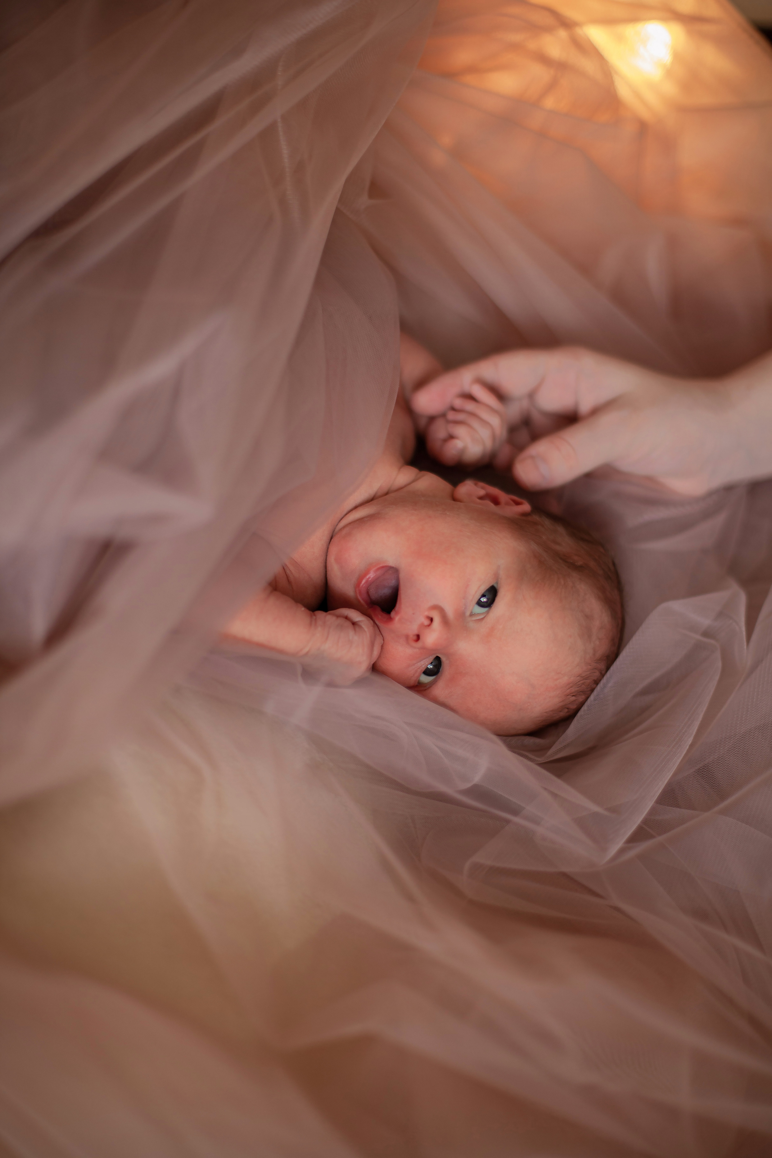 Фотосессия Ньюборн для Ксении. Фотограф Наталья Яковлева, Санкт-Петербург. Семьи, ньюборн, крещения