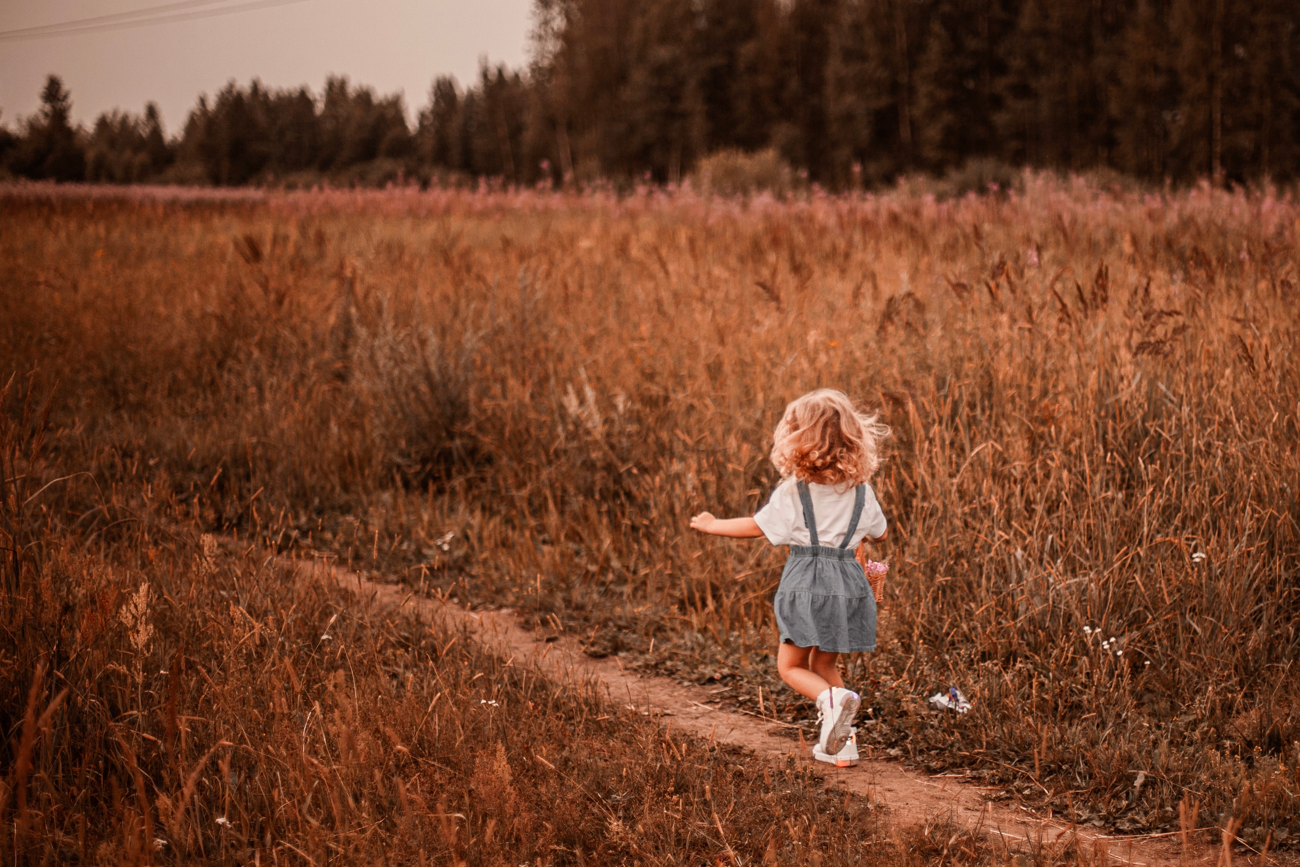 Фотосессия в цветущем поле. Фотограф Наталья Яковлева, Санкт-Петербург. Семьи, ньюборн, крещения