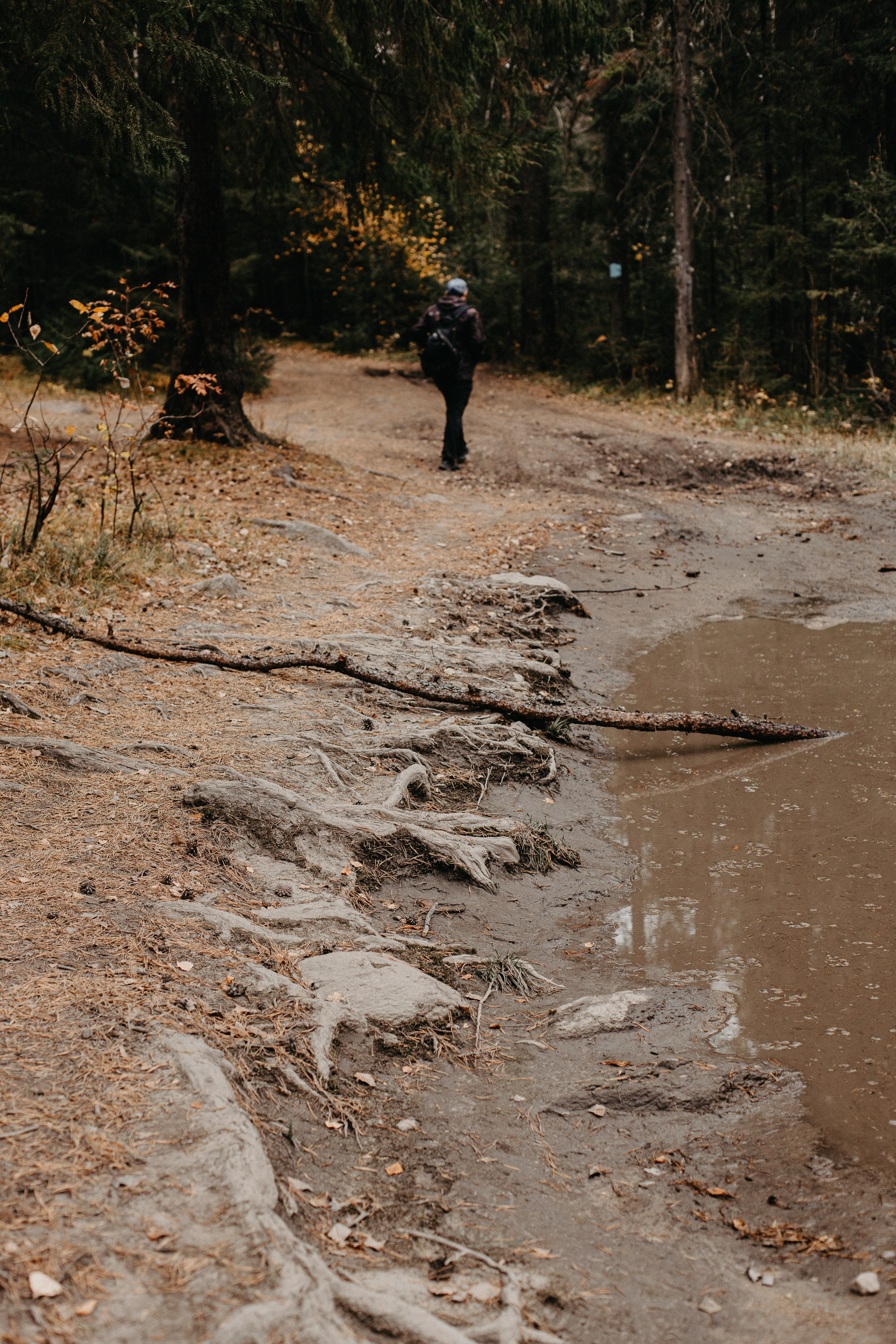 Семь Братьев. Семейный фотограф Трусова Евгения в Екатеринбурге
