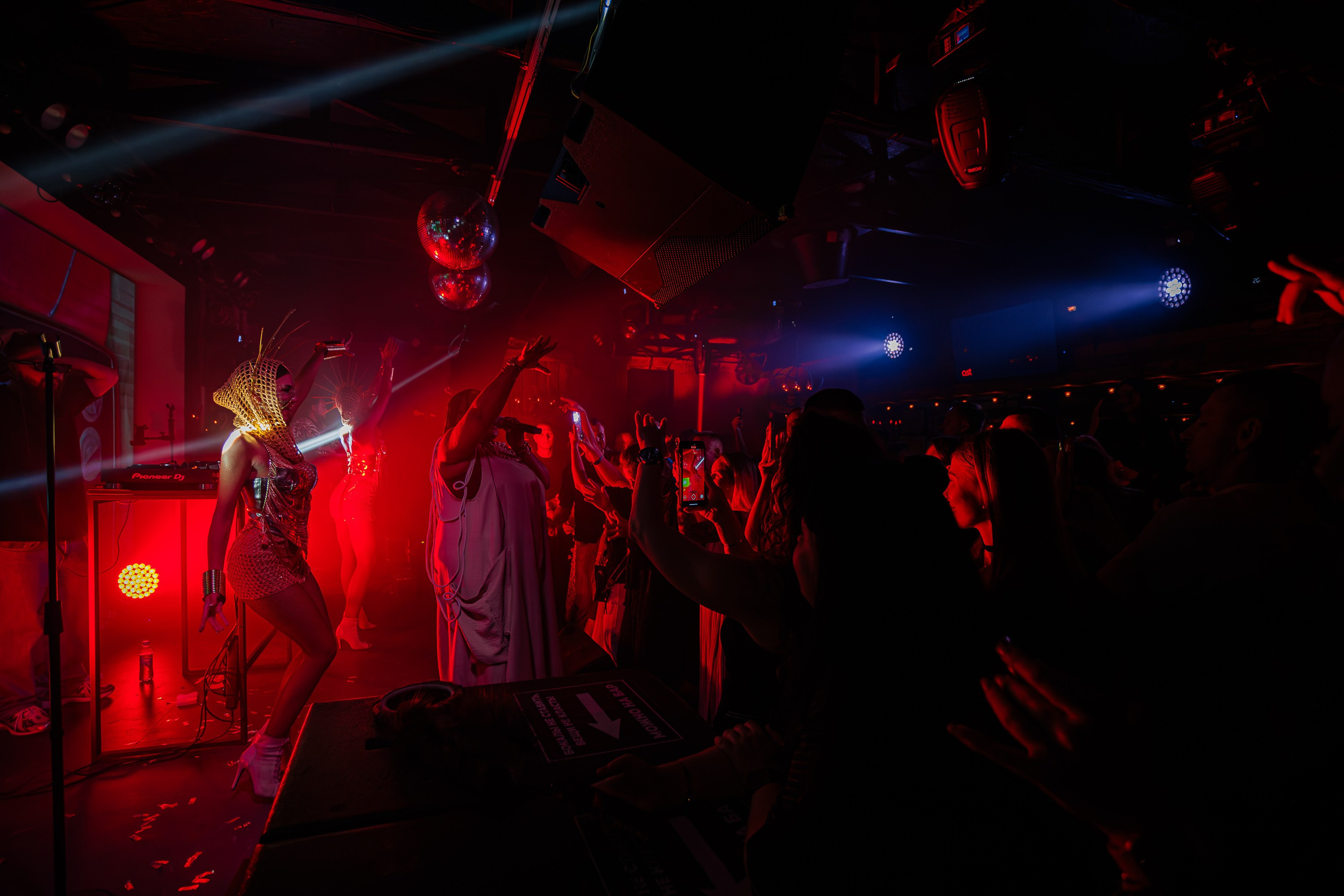 «LIZWI"_Чайка на пляже_Ялта_7.06.2025. Аминов Руслан | Фотограф