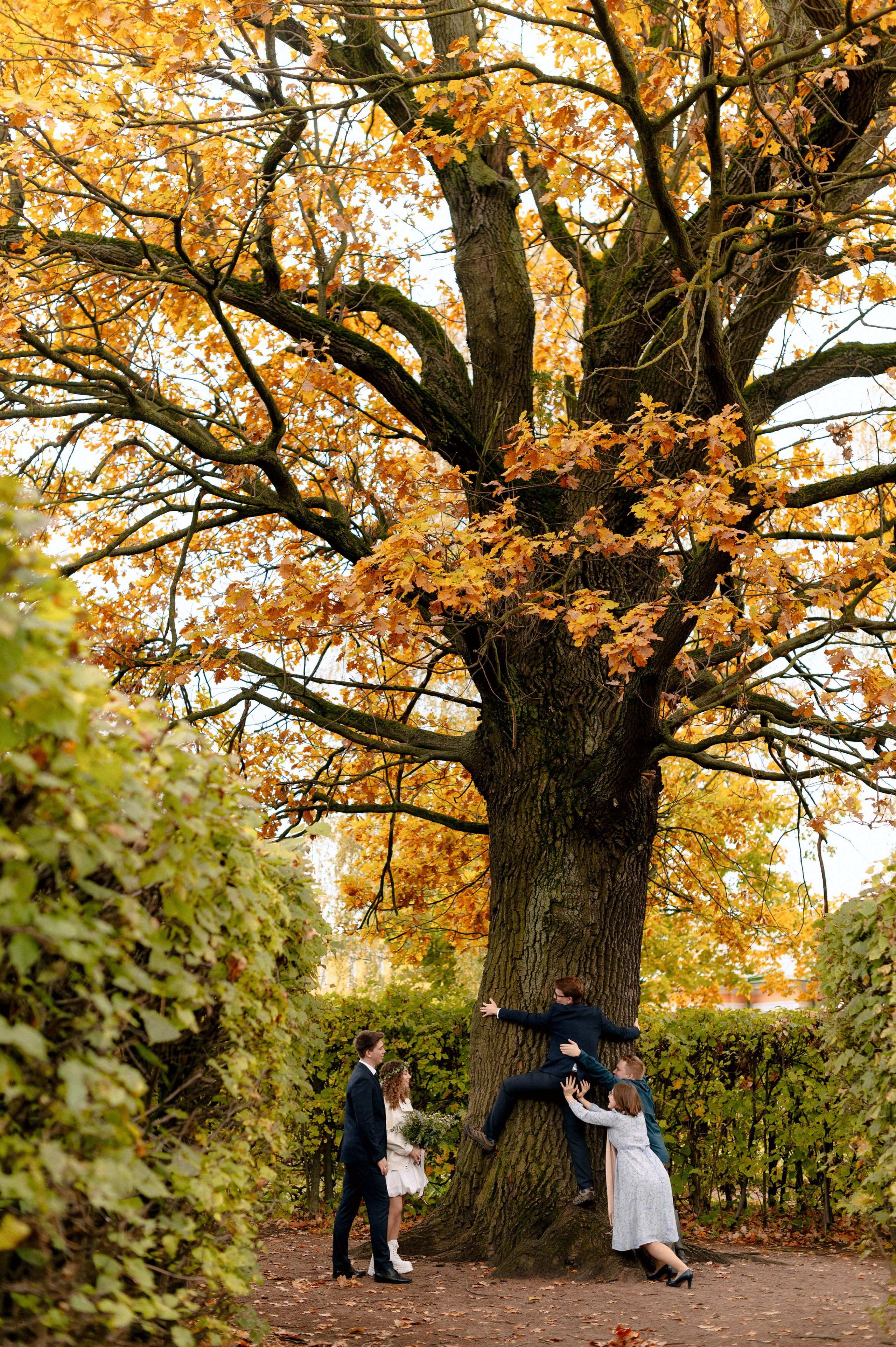 НАСТЯ и ДАНЯ. Шашкова Вероника / Свадебный и семейный фотограф Москва и Ярославль