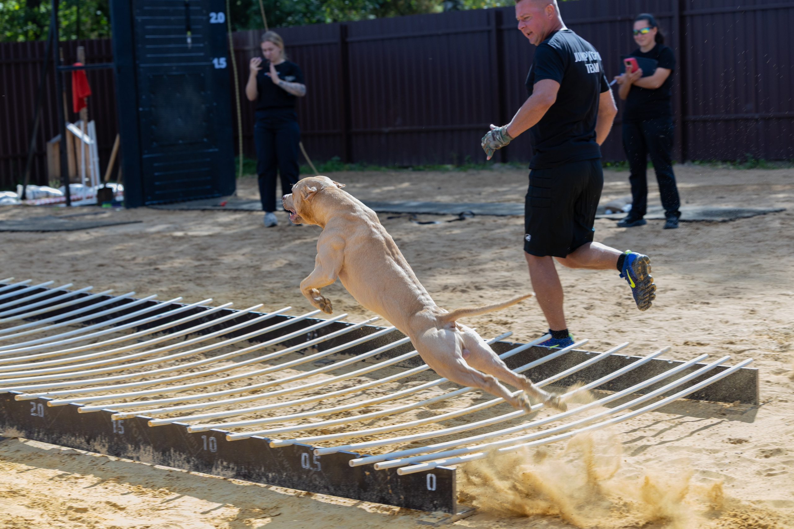 Jump'n'Gym. Виктория Михайловская. Фотограф-анималист. Москва