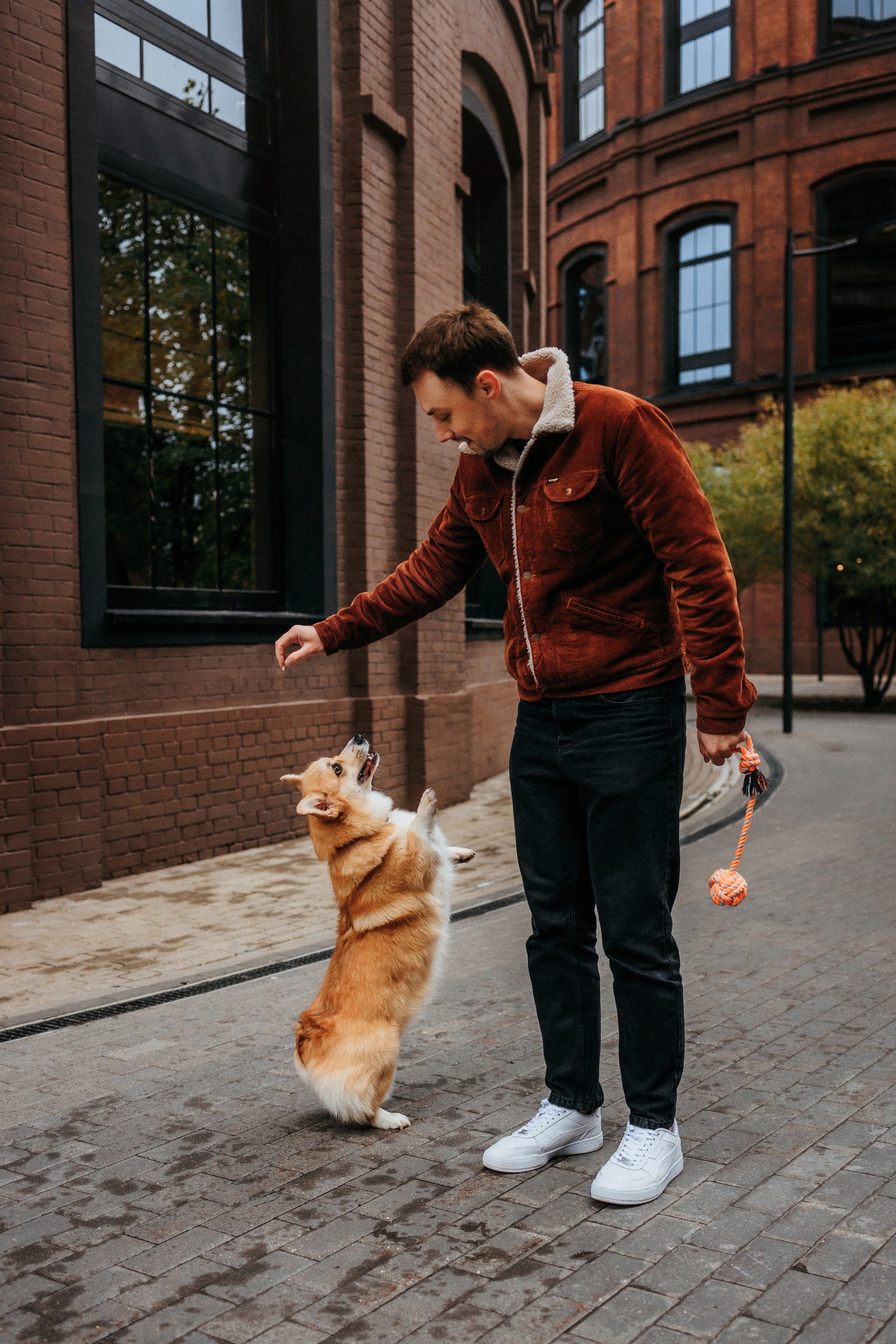 Вера, Саша и Муна. Фотограф-анималист Елена Радченко, Москва