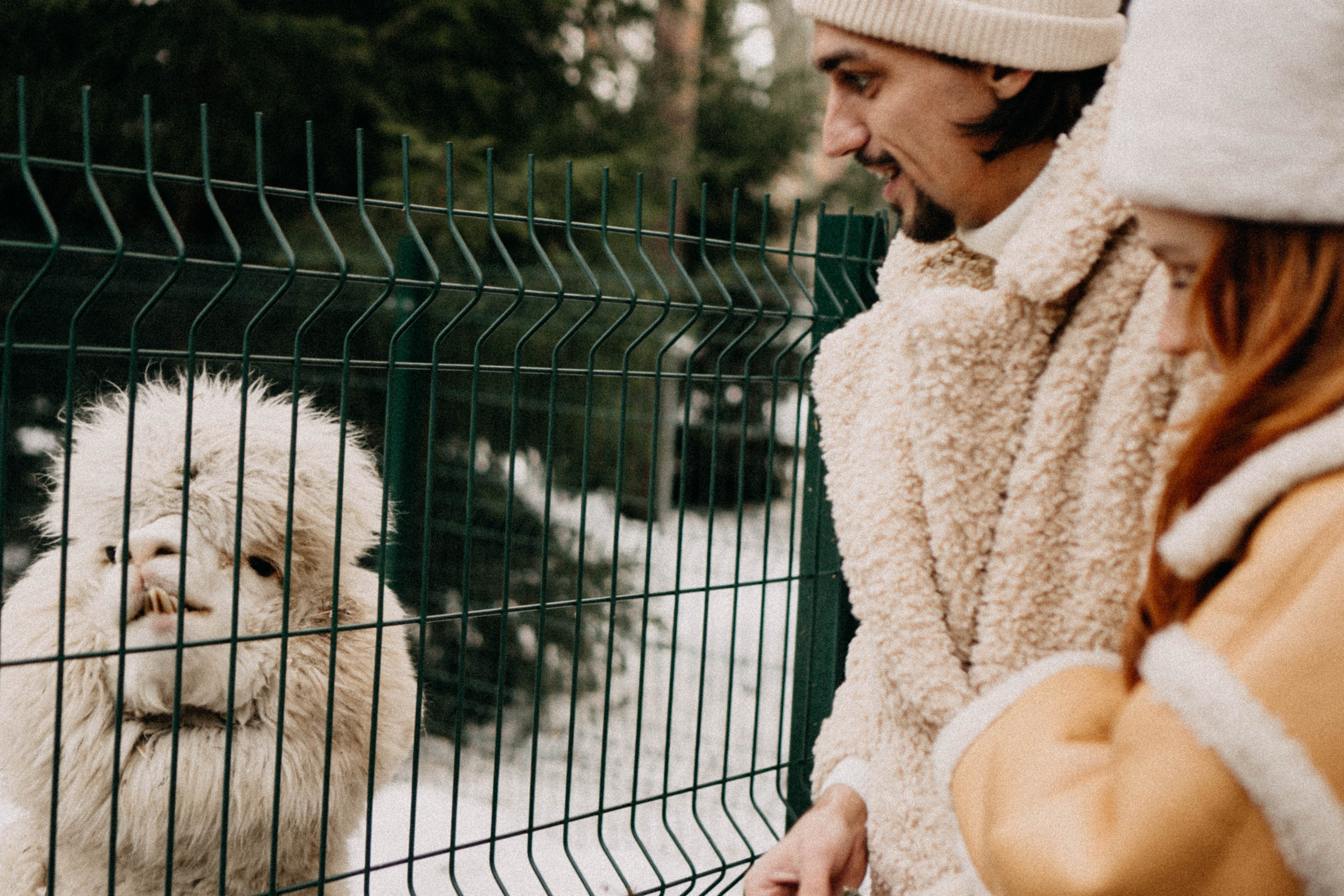 Каток. Профессиональный фотограф, Санкт-Петербург — Виктория Богомолова