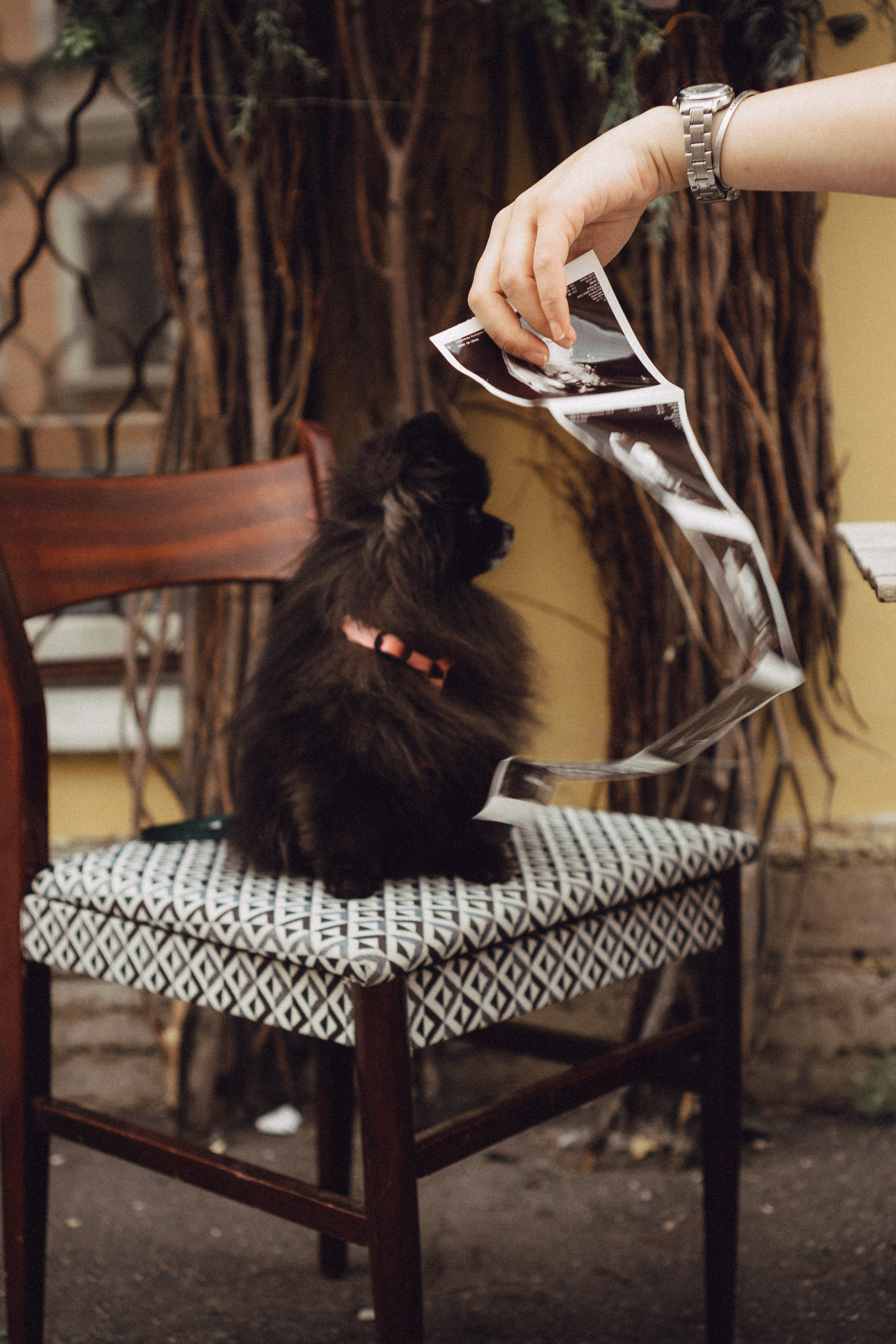 Беременность (только часть фото по желанию клиентов могу показать)). Профессиональный фотограф, Санкт-Петербург — Виктория Богомолова