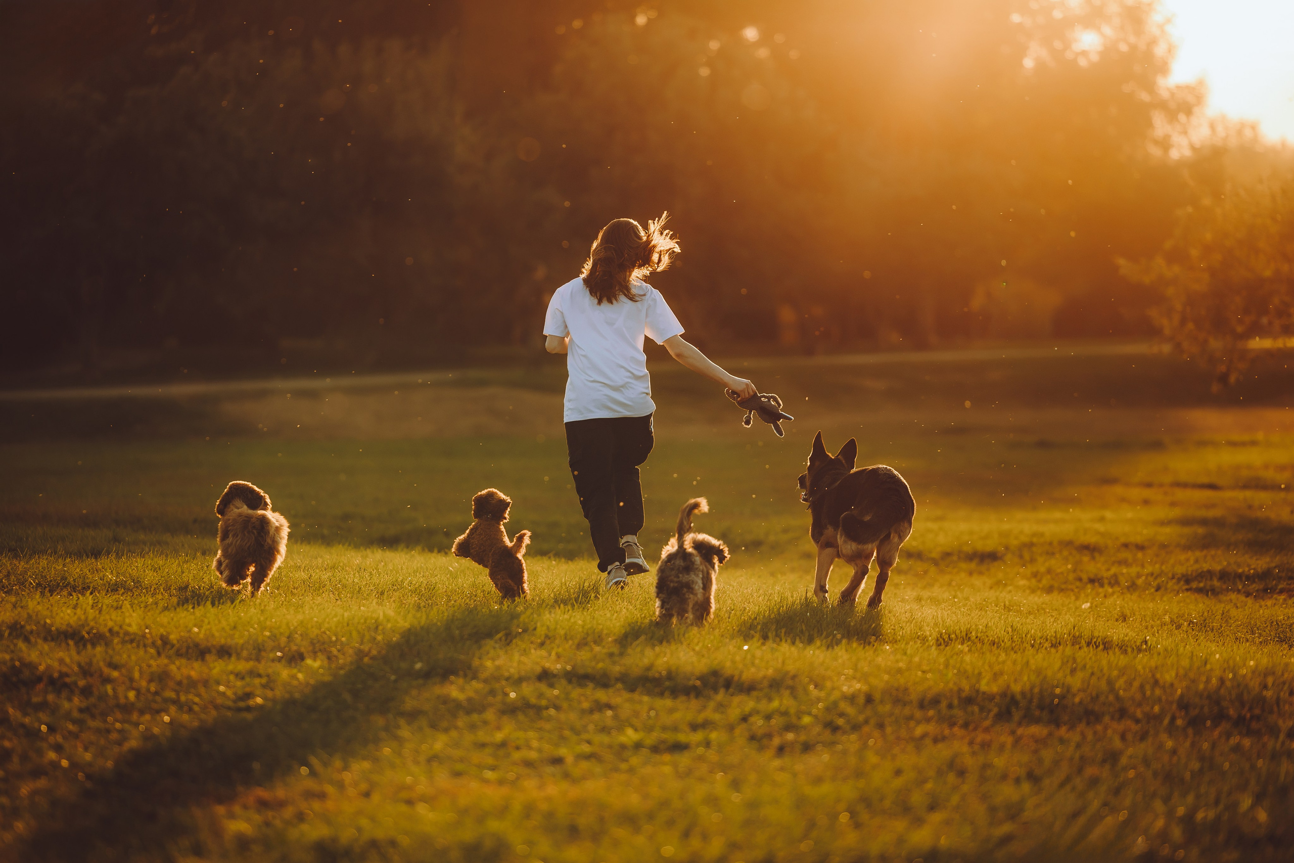 Кристина и все-все
