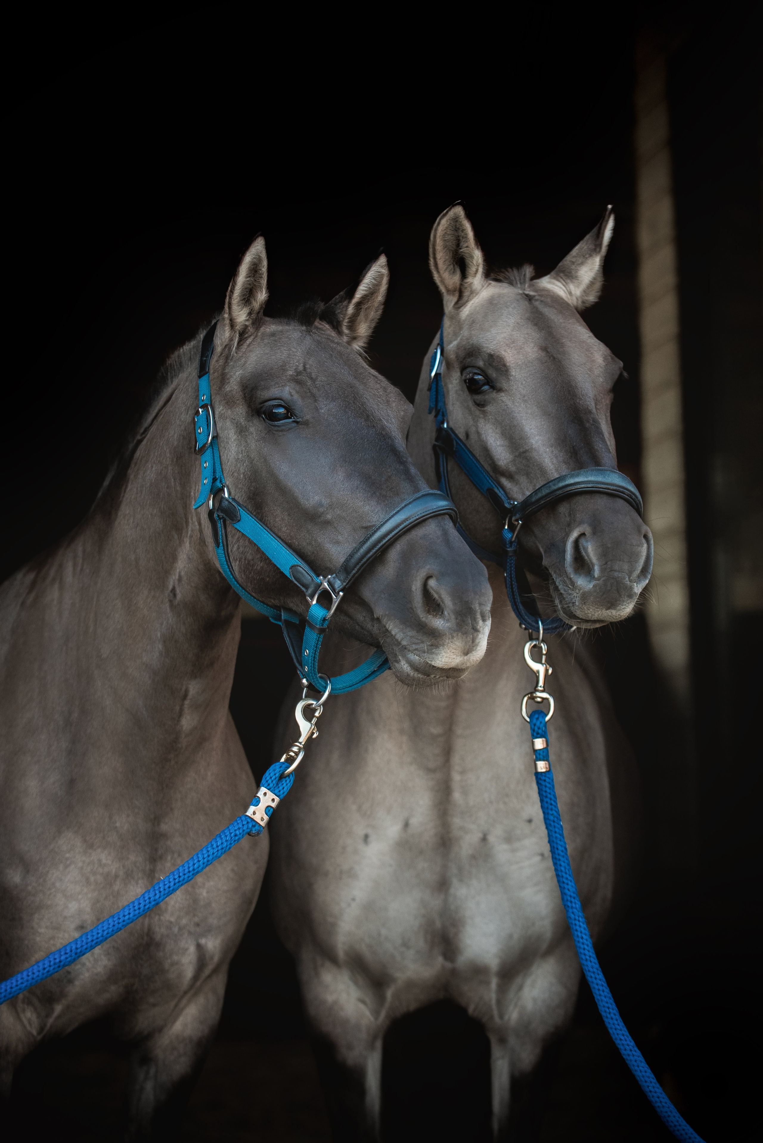 Катя SedlaMSK и Кася с Габи. Конный фотограф Куракина Дарья • Фотосессии с лошадьми