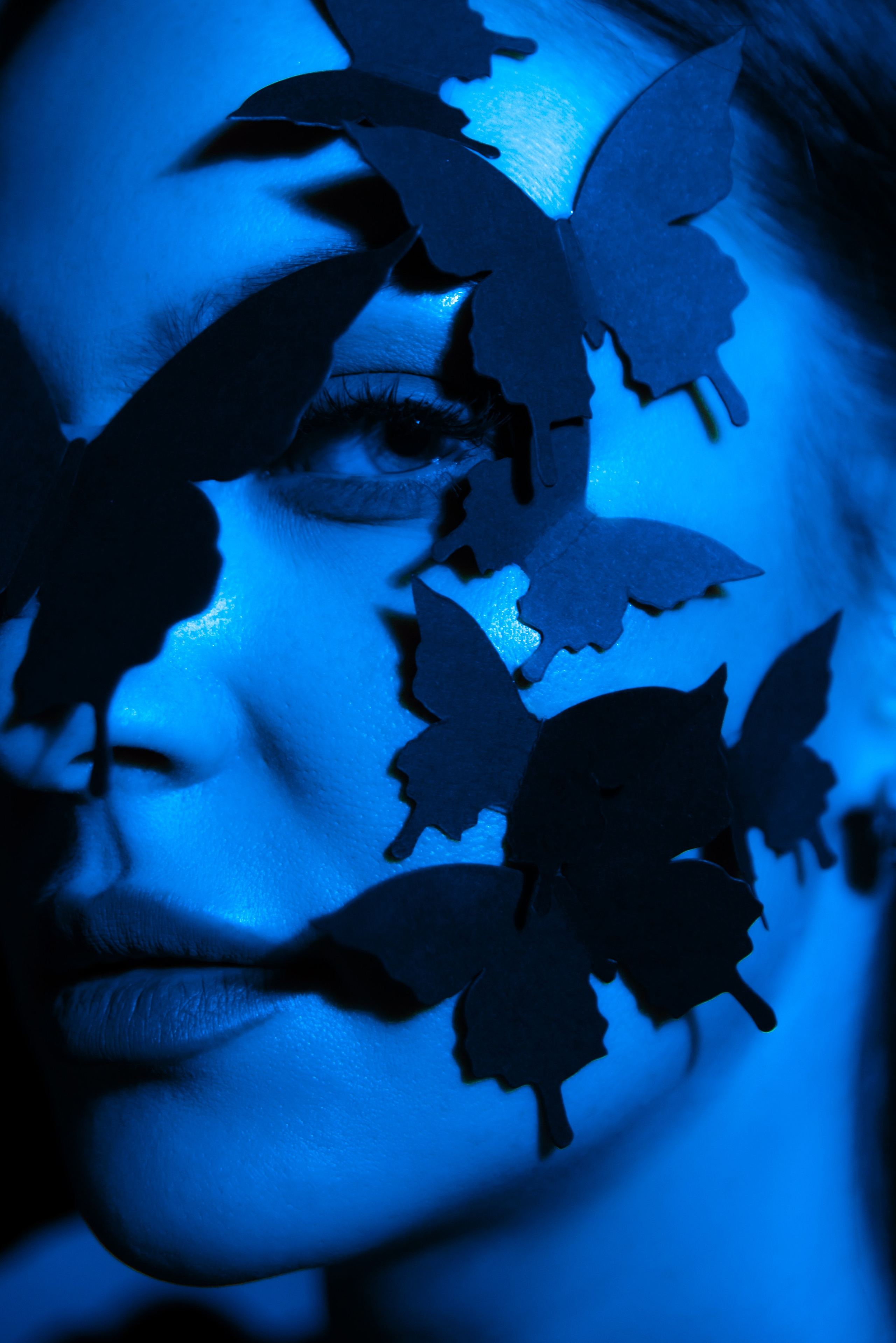 Цвет и свет