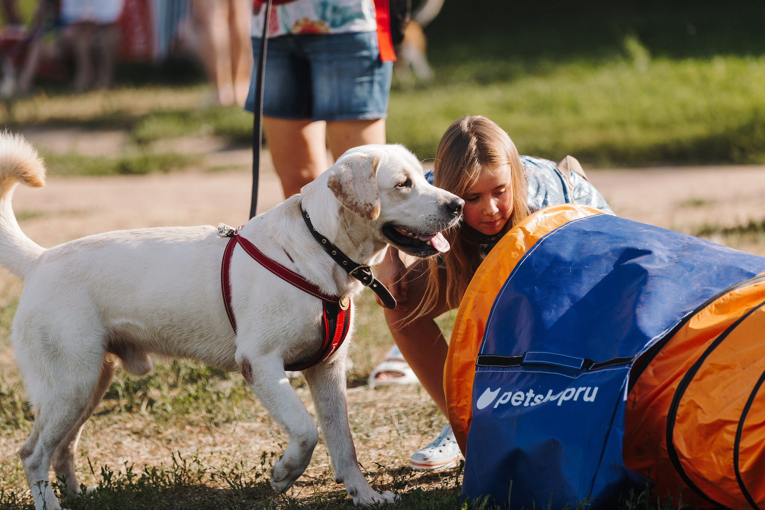 Petshop Sup day. Фотограф анималист Кристина Карпова, Москва