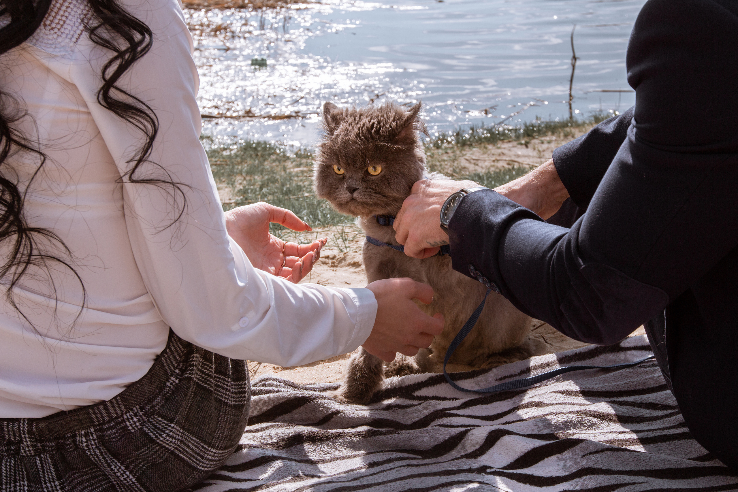 Love Story в Белгороде. Фотограф Белгород