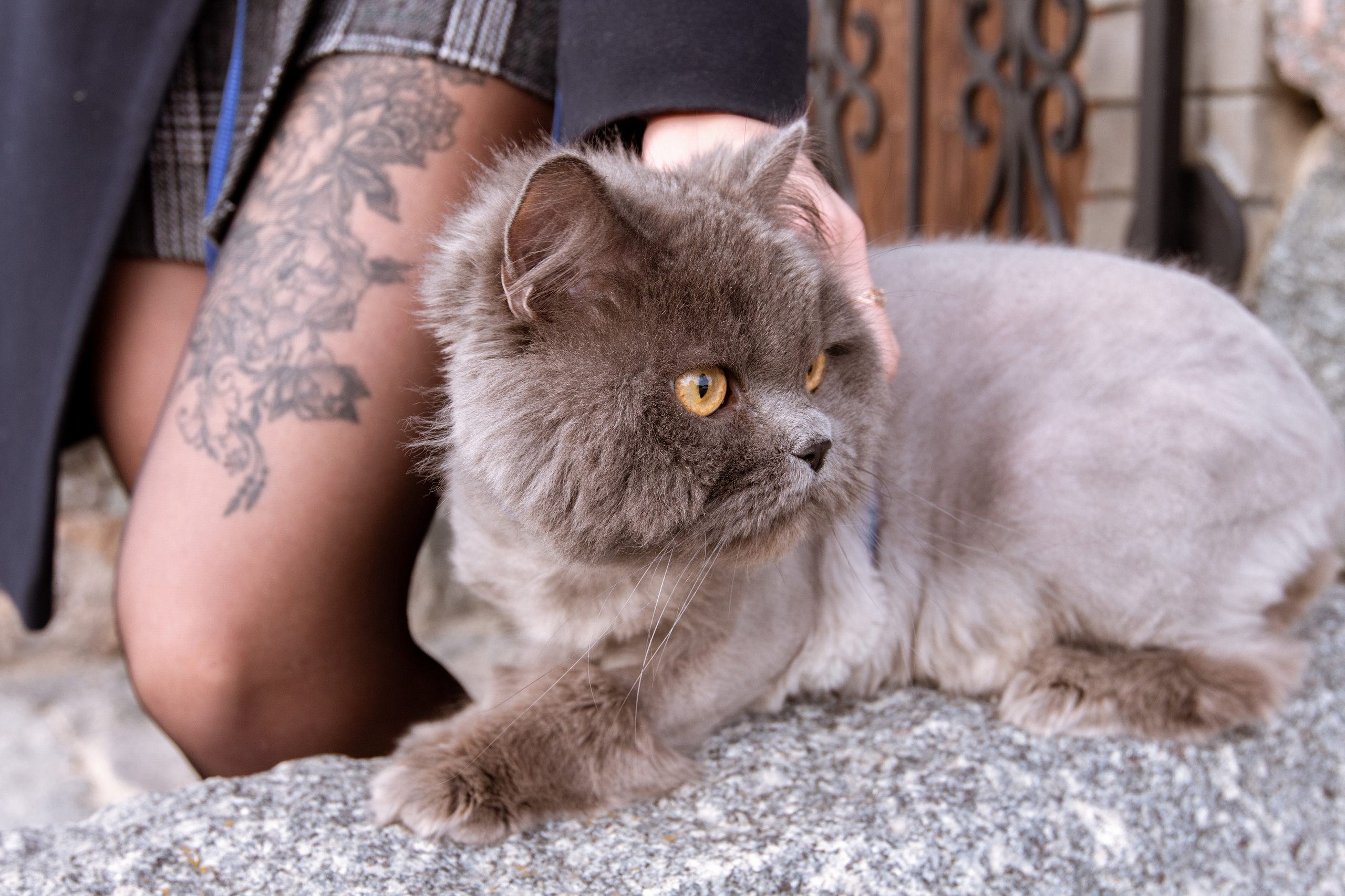 Love Story в Белгороде. Фотограф Белгород