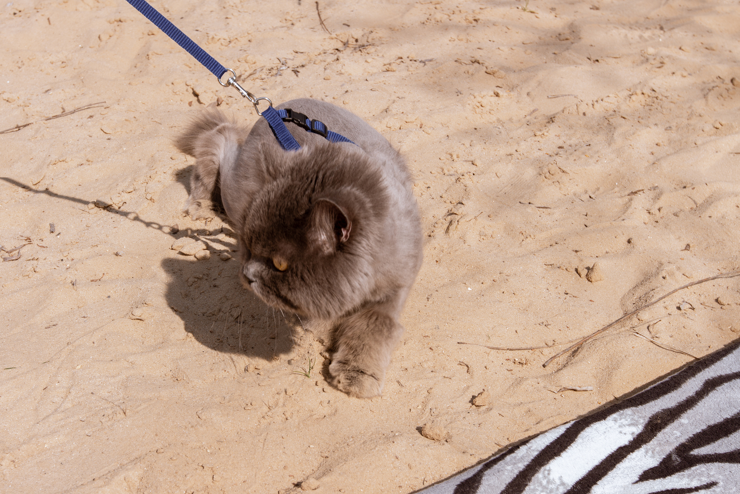 Love Story в Белгороде. Фотограф Белгород