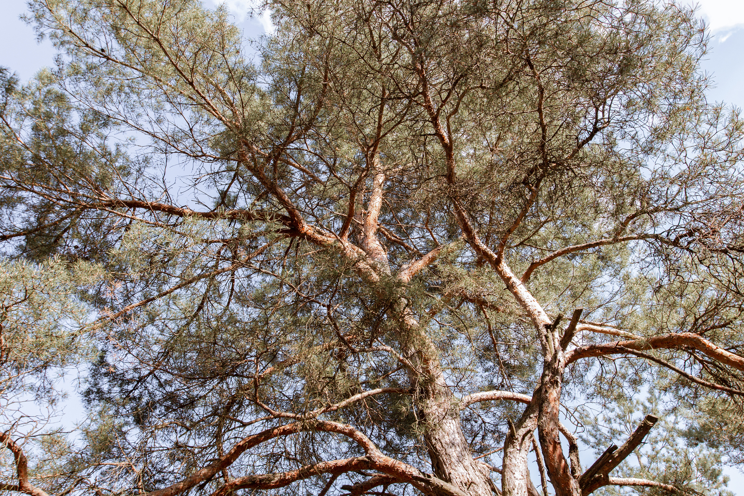 Love Story в Белгороде. Фотограф Белгород