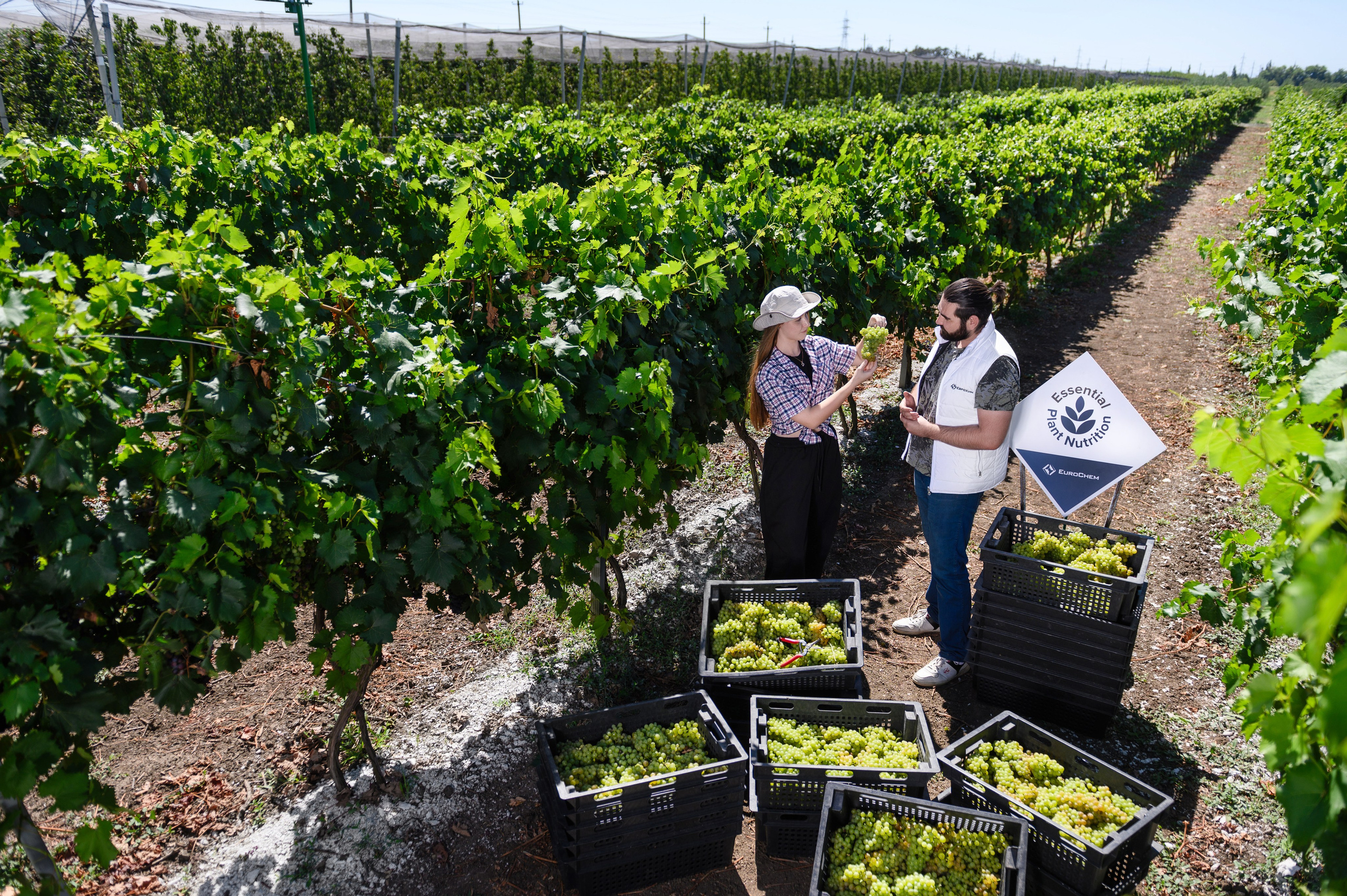 Проекты. Профессиональный фотограф Вячеслав Плацында | Липецк |