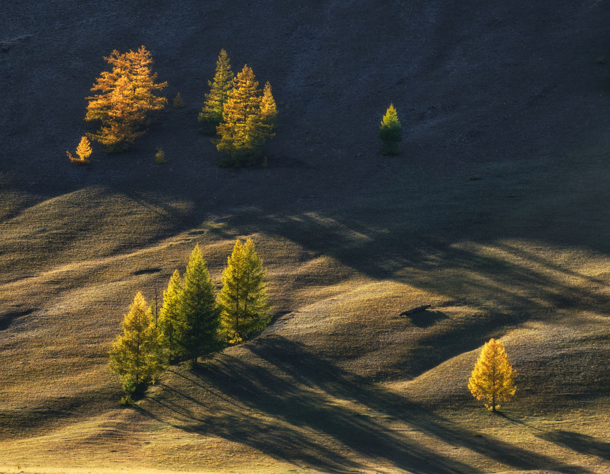 Фотографии Восточный Саян