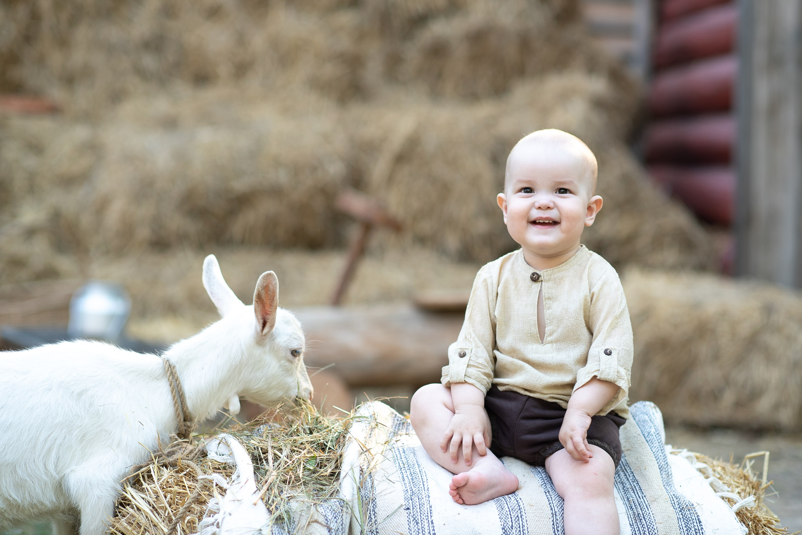 Фотостудия Лес Чудес. Фотограф Мария Усманова, Казань