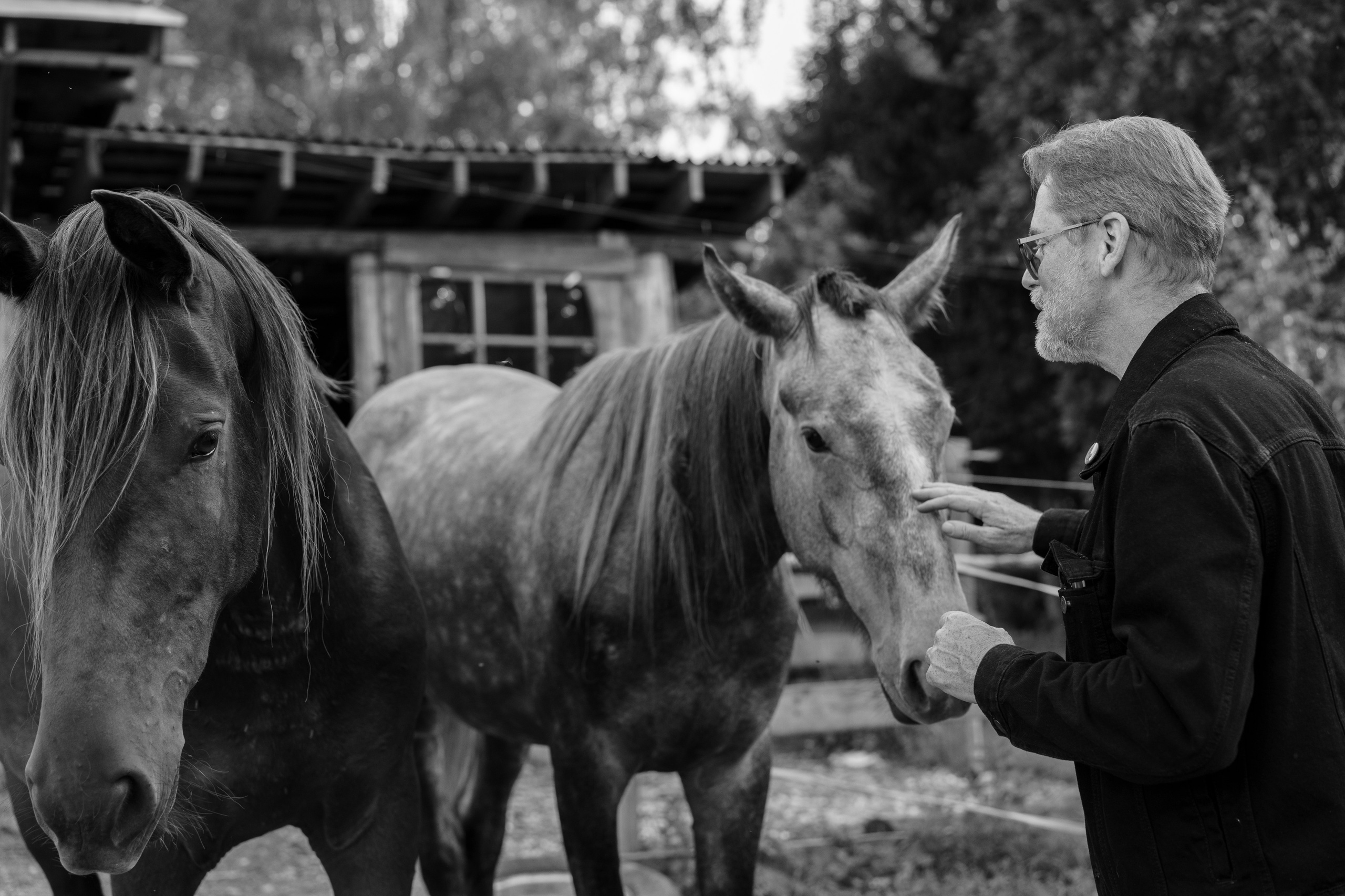 Алексей. Семейный фотограф Клубкова Мария. Поместье Клу