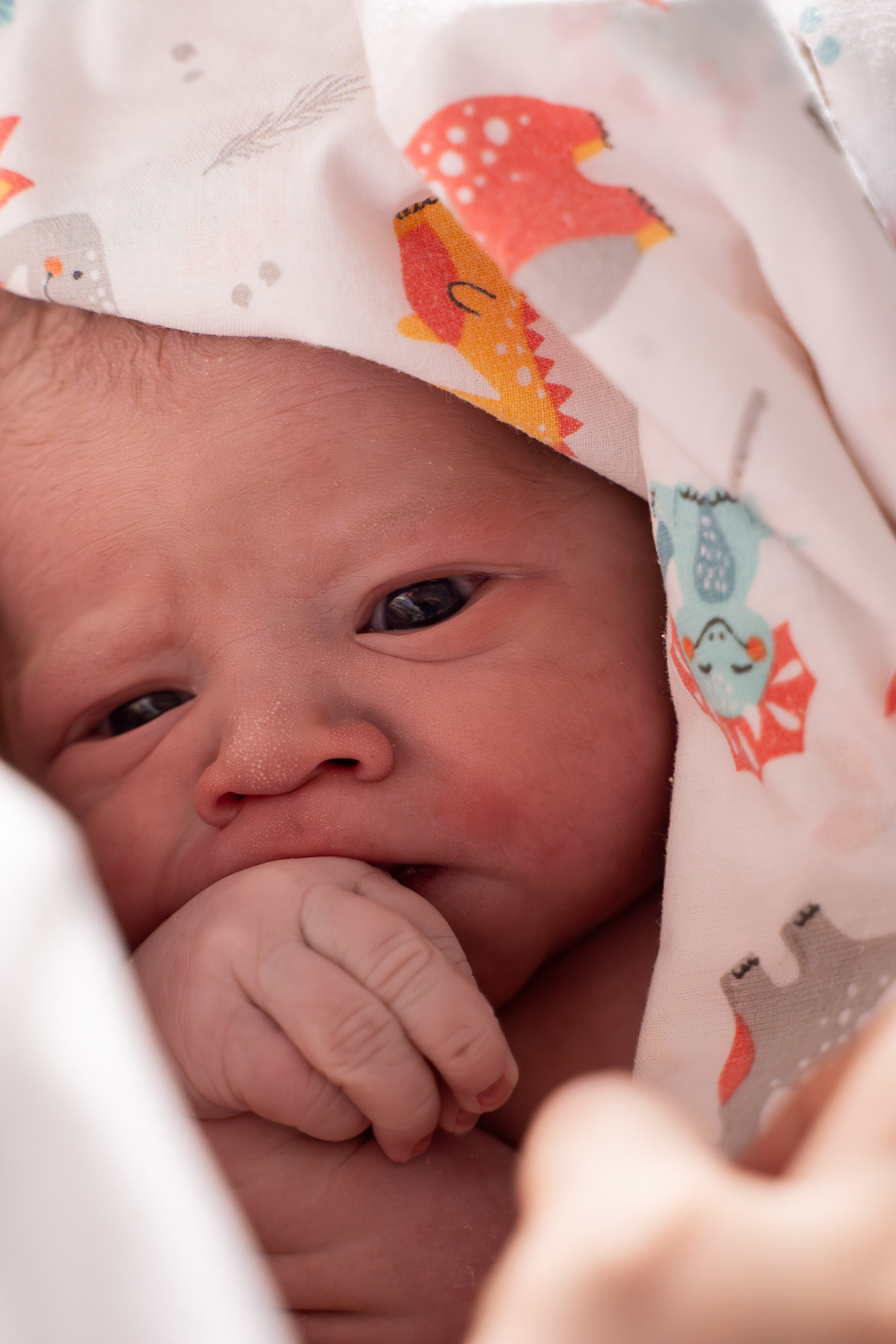 Давид. Фотограф на роды Москва Ольга Летучева