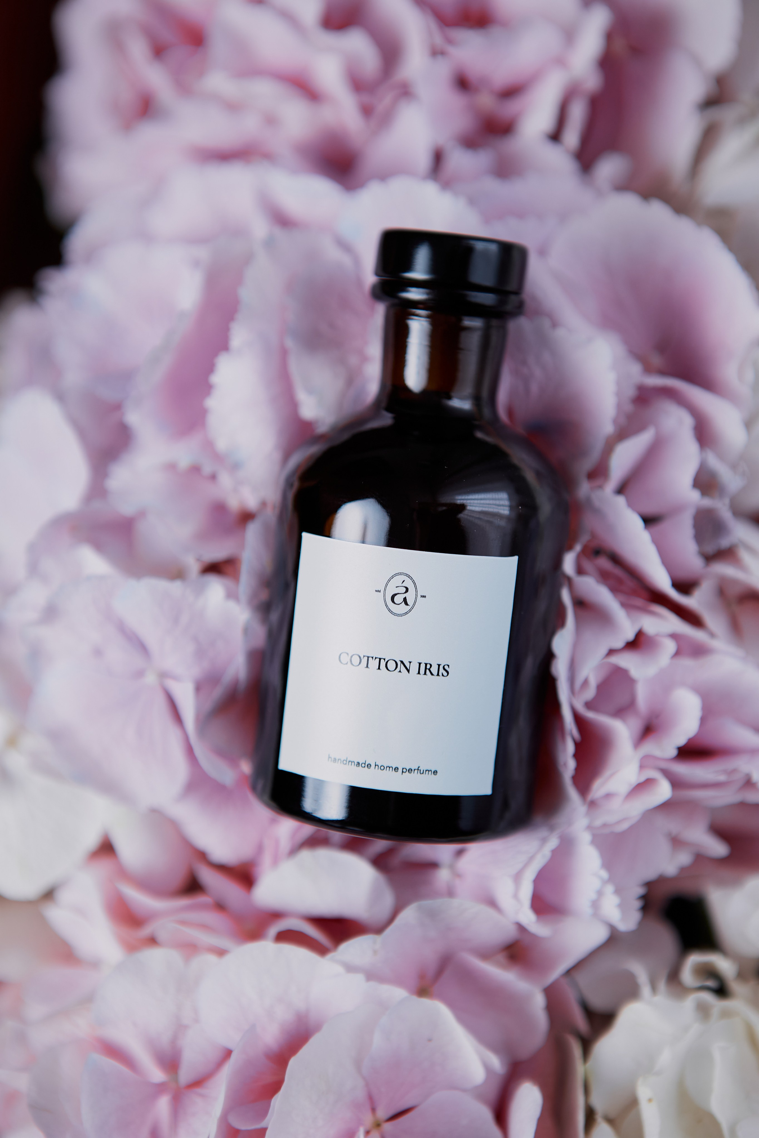 Контент съемка для социальных сетей. Фотограф Желтухин Андрей в Петрозаводске, СПб и Москве