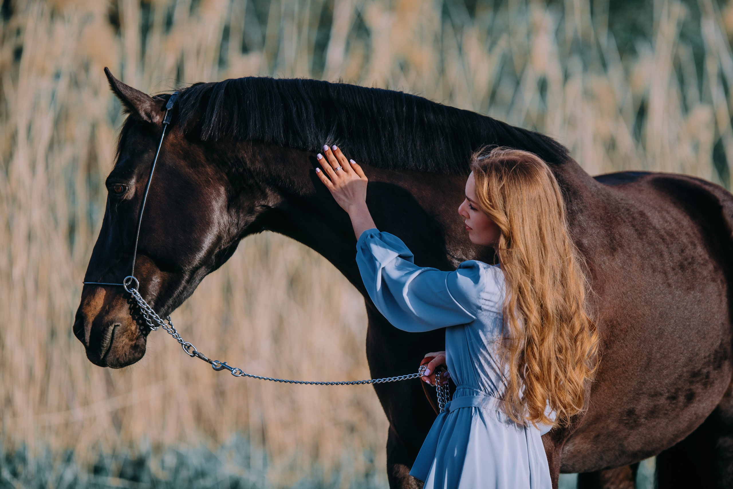 Вероника и Брэй. Фотограф-анималист Ксендзова Кристина