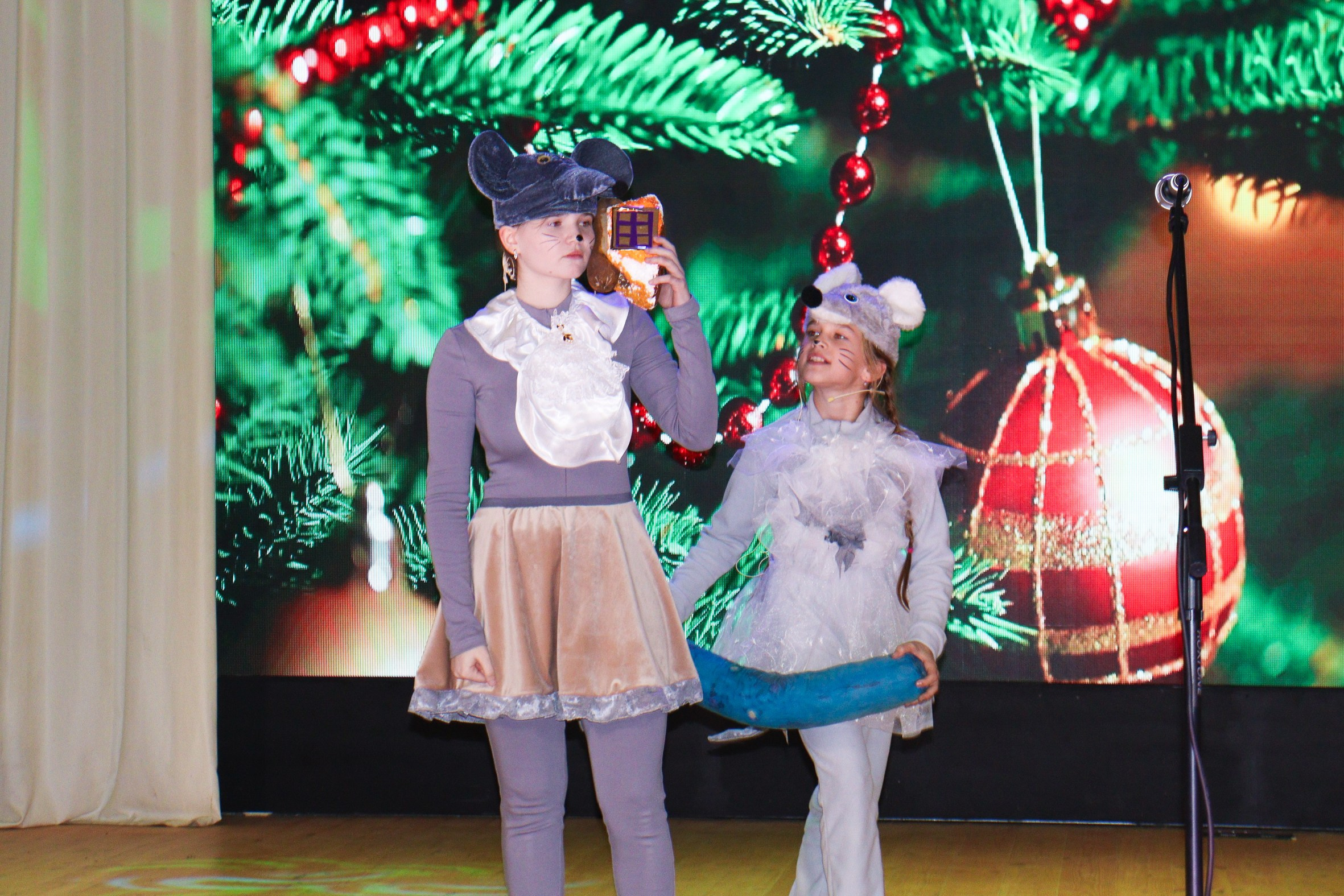 Новогодний концерт Шишли-Мышли