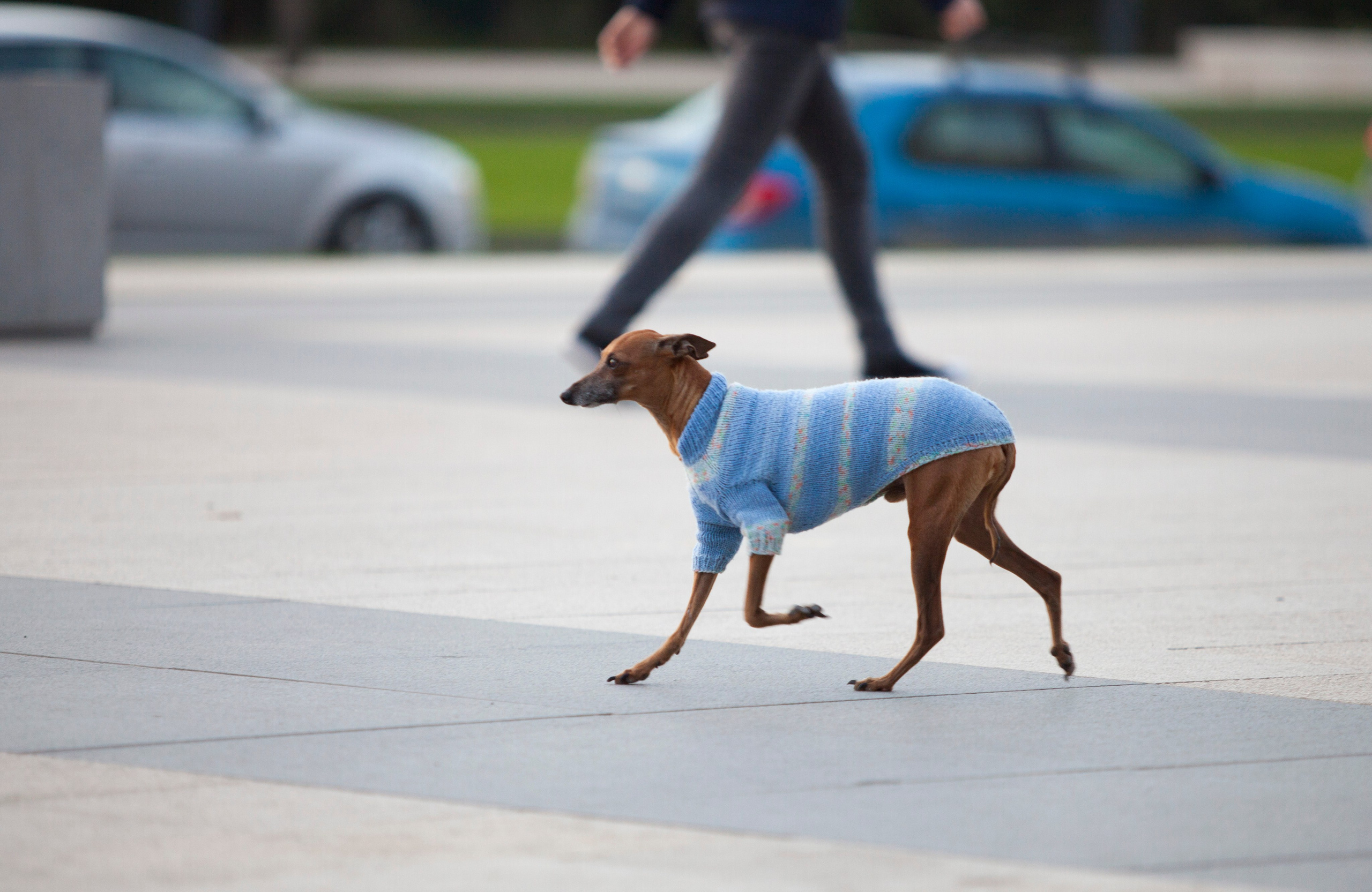 Сборная Аргентины — сборная Нигерии